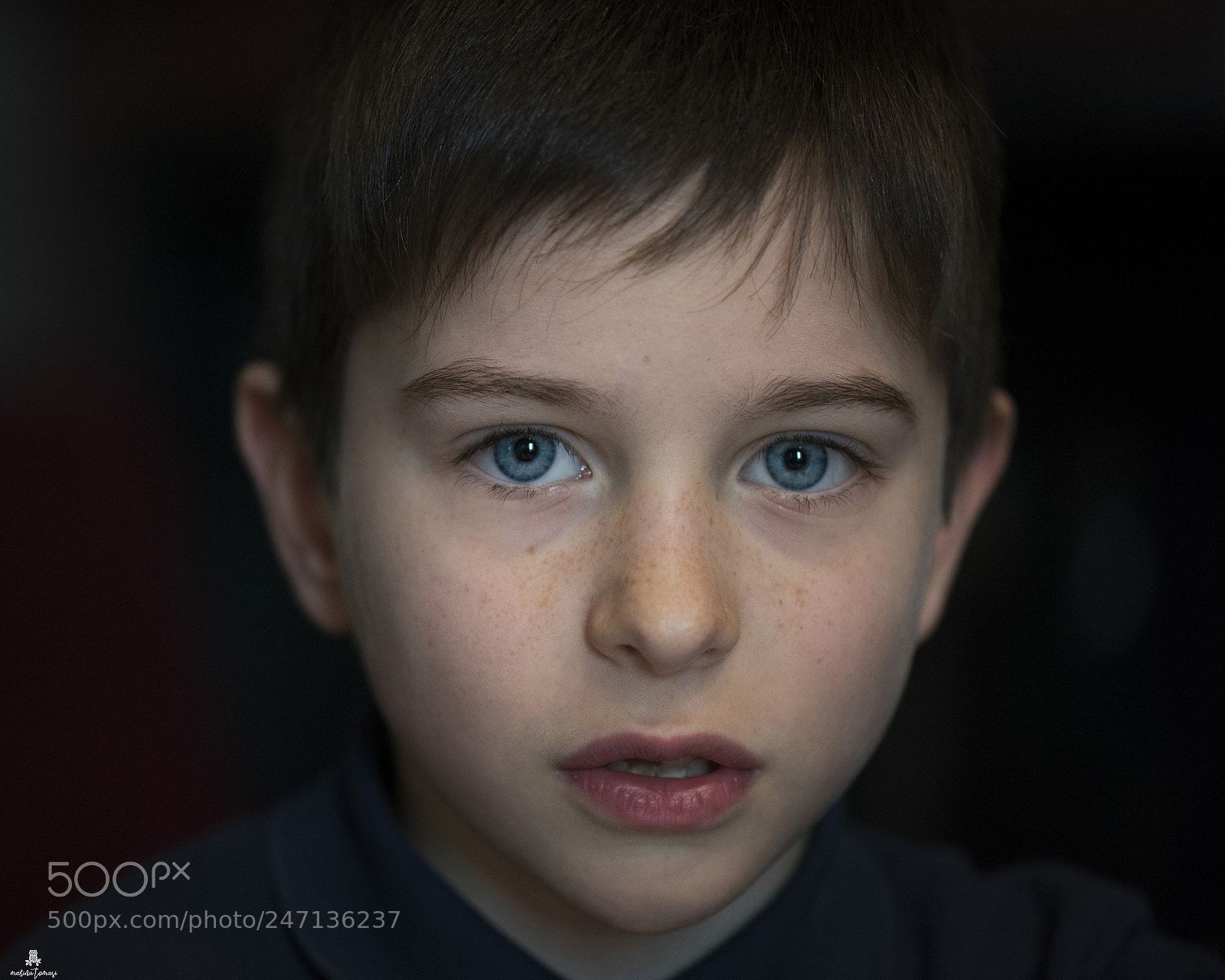 Nikon D810 sample photo. Pietro photography