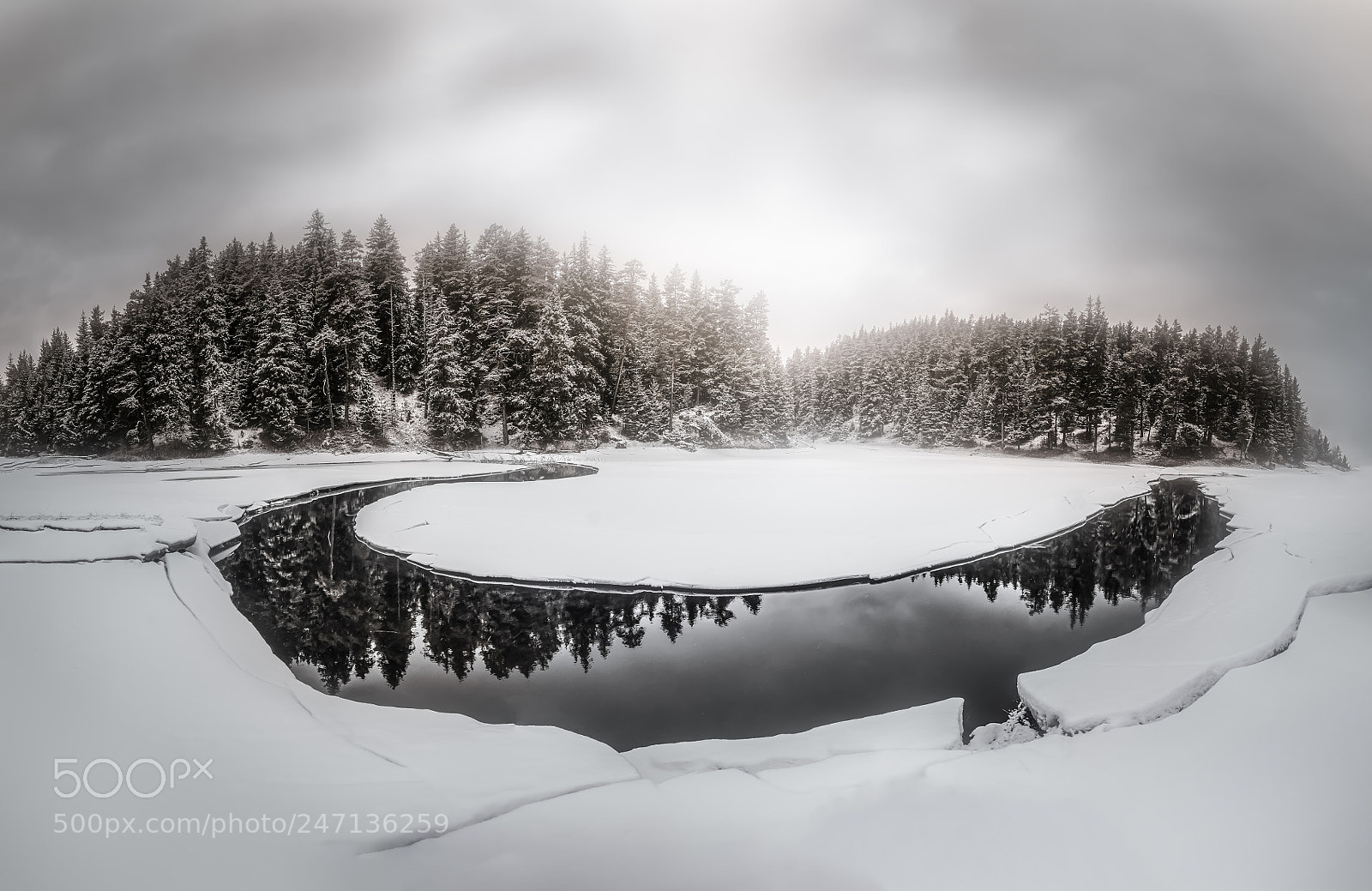 Nikon D7200 sample photo. Winter photography