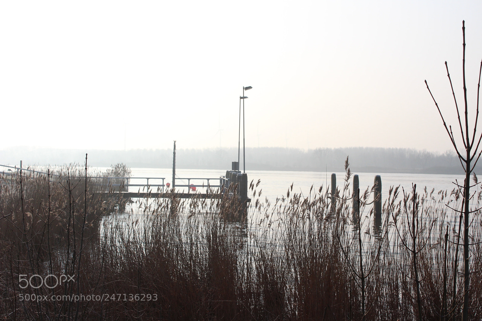 Canon EF-S 18-55mm F3.5-5.6 III sample photo. Untitled photography
