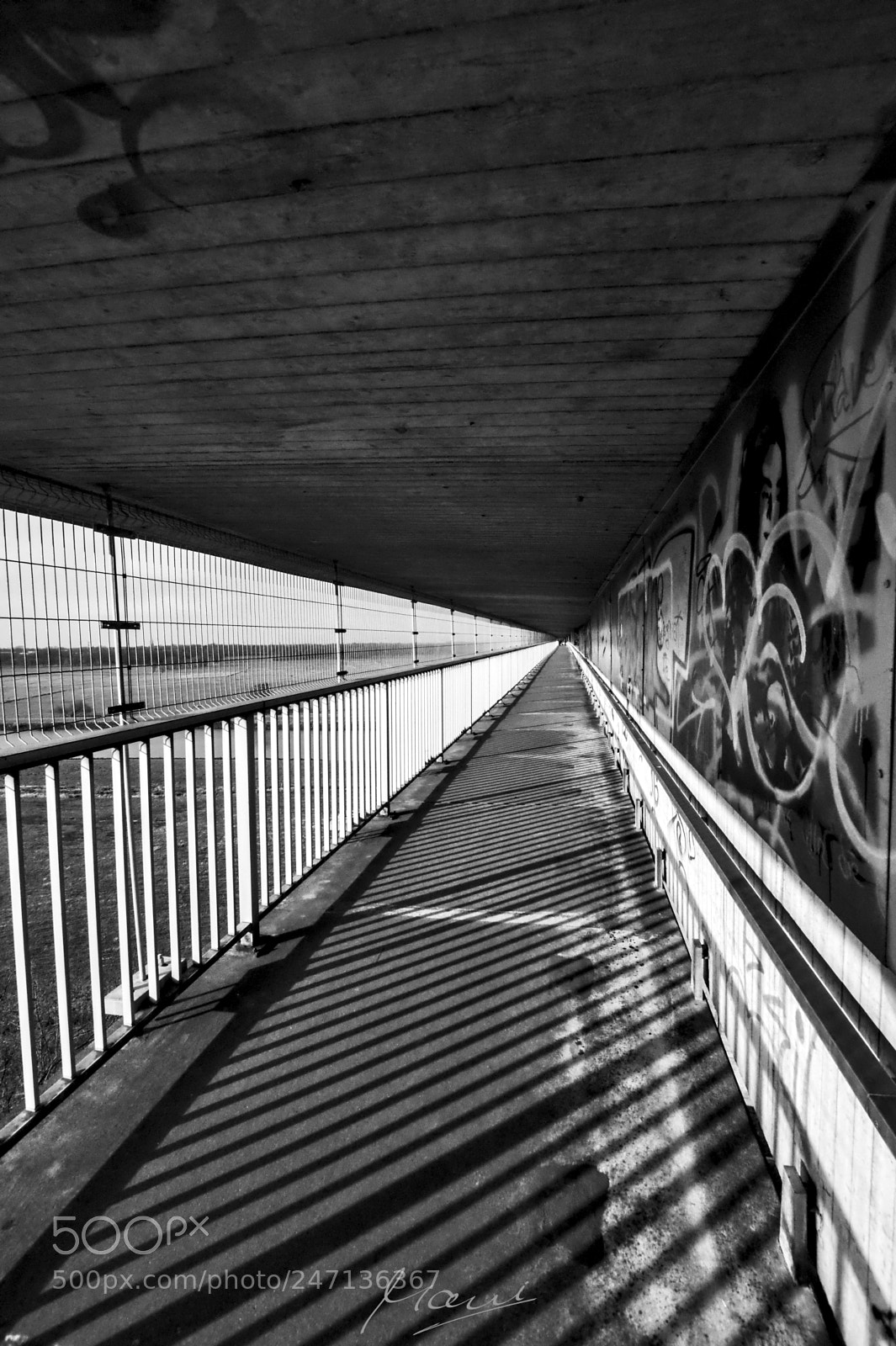 Nikon D90 sample photo. Crossover photography