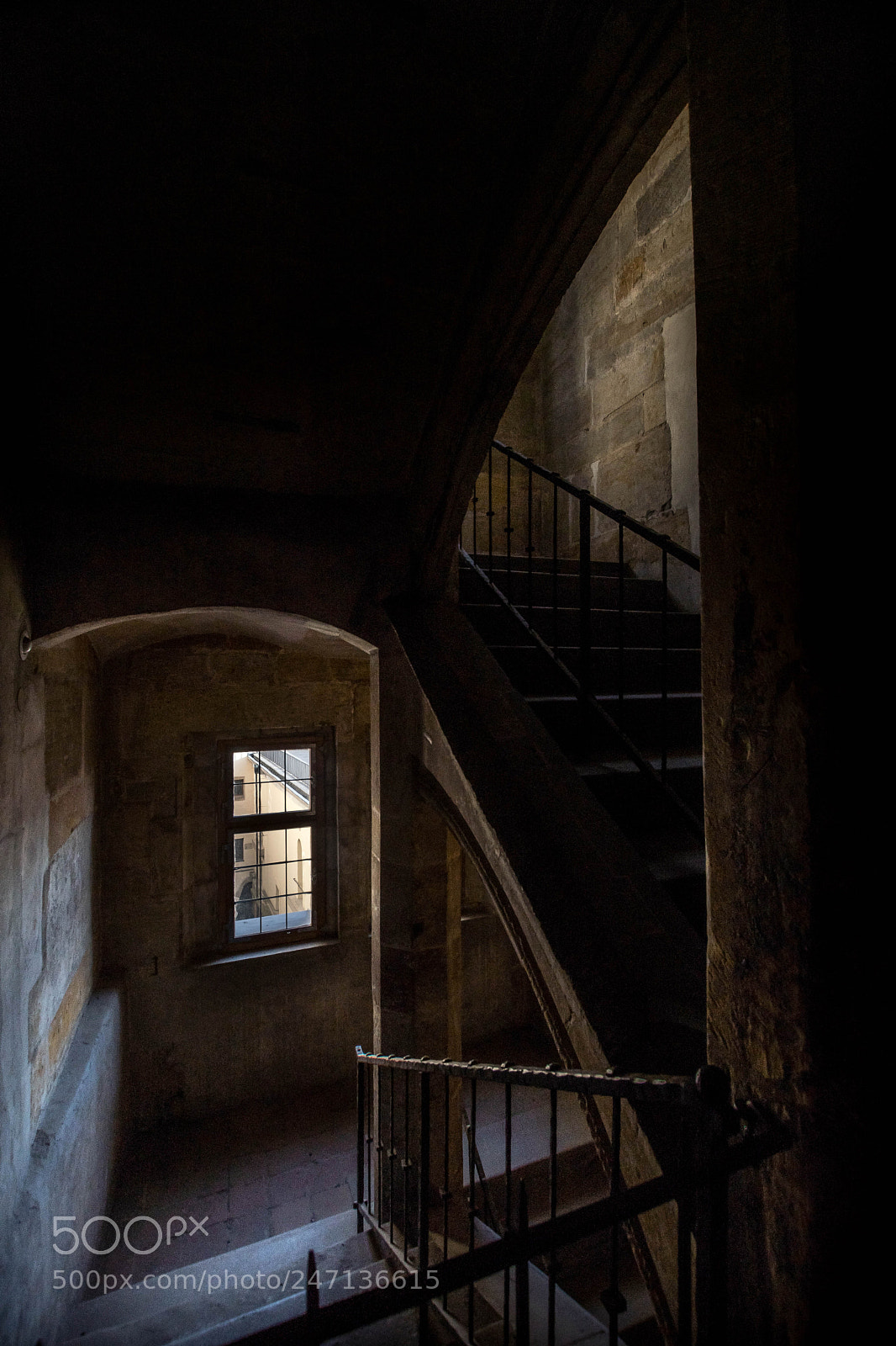 Nikon D500 sample photo. Looking out and looking photography