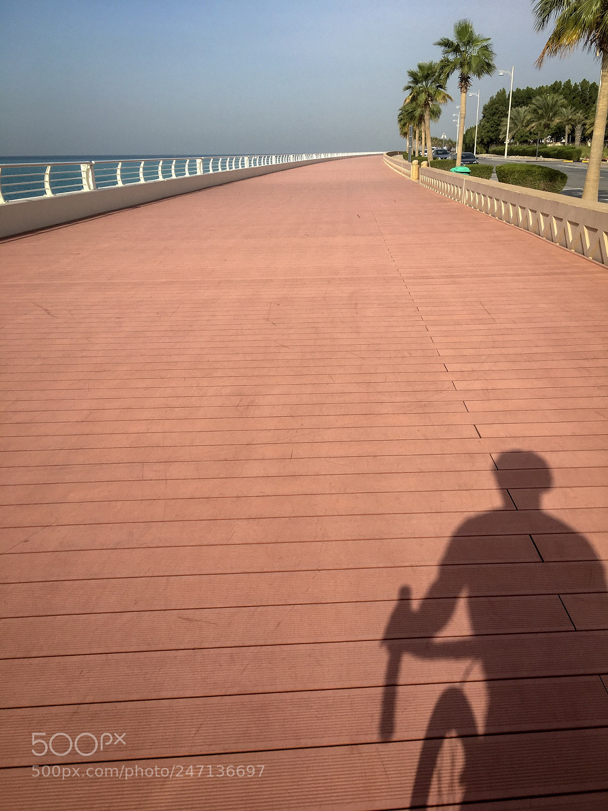 Apple iPhone 6s sample photo. Morning ride photography