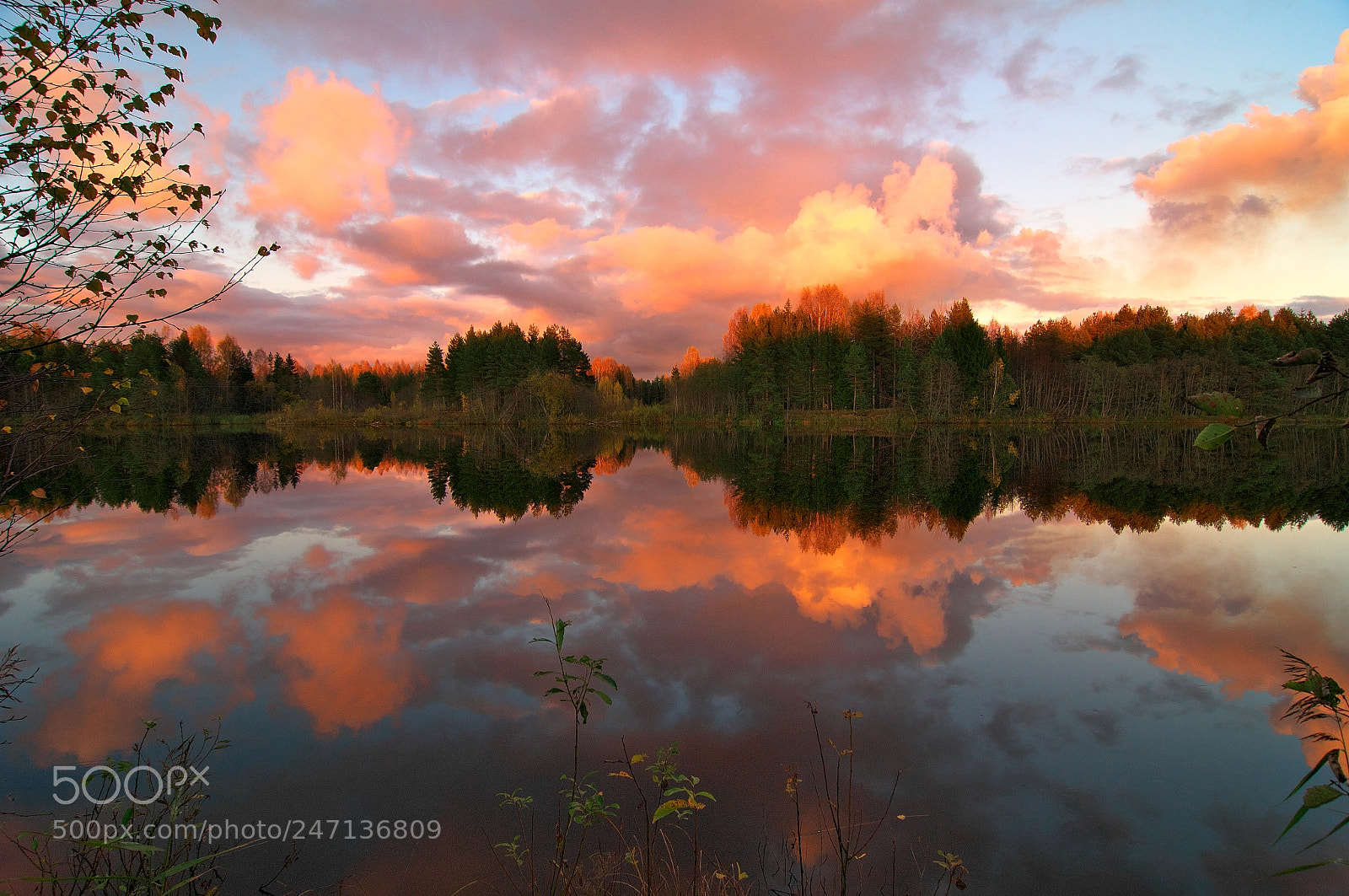Nikon D300S sample photo. Reflection photography