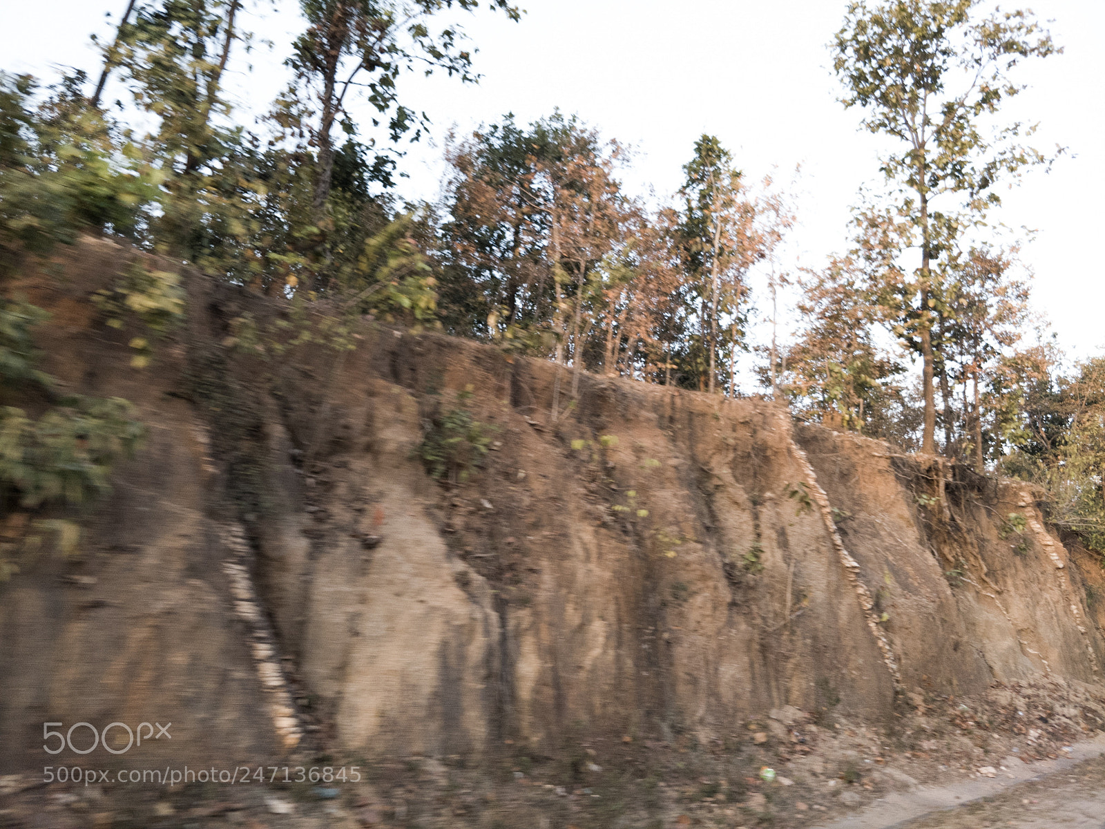 OnePlus 5T sample photo. Untitled photography