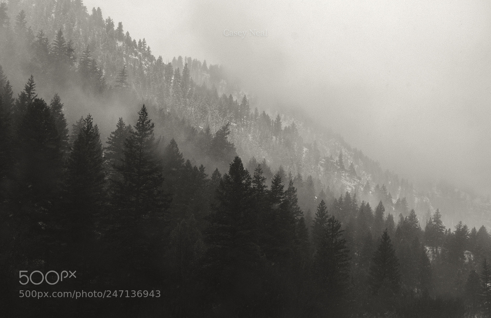 Nikon D5100 sample photo. Logan canyon snowfall photography