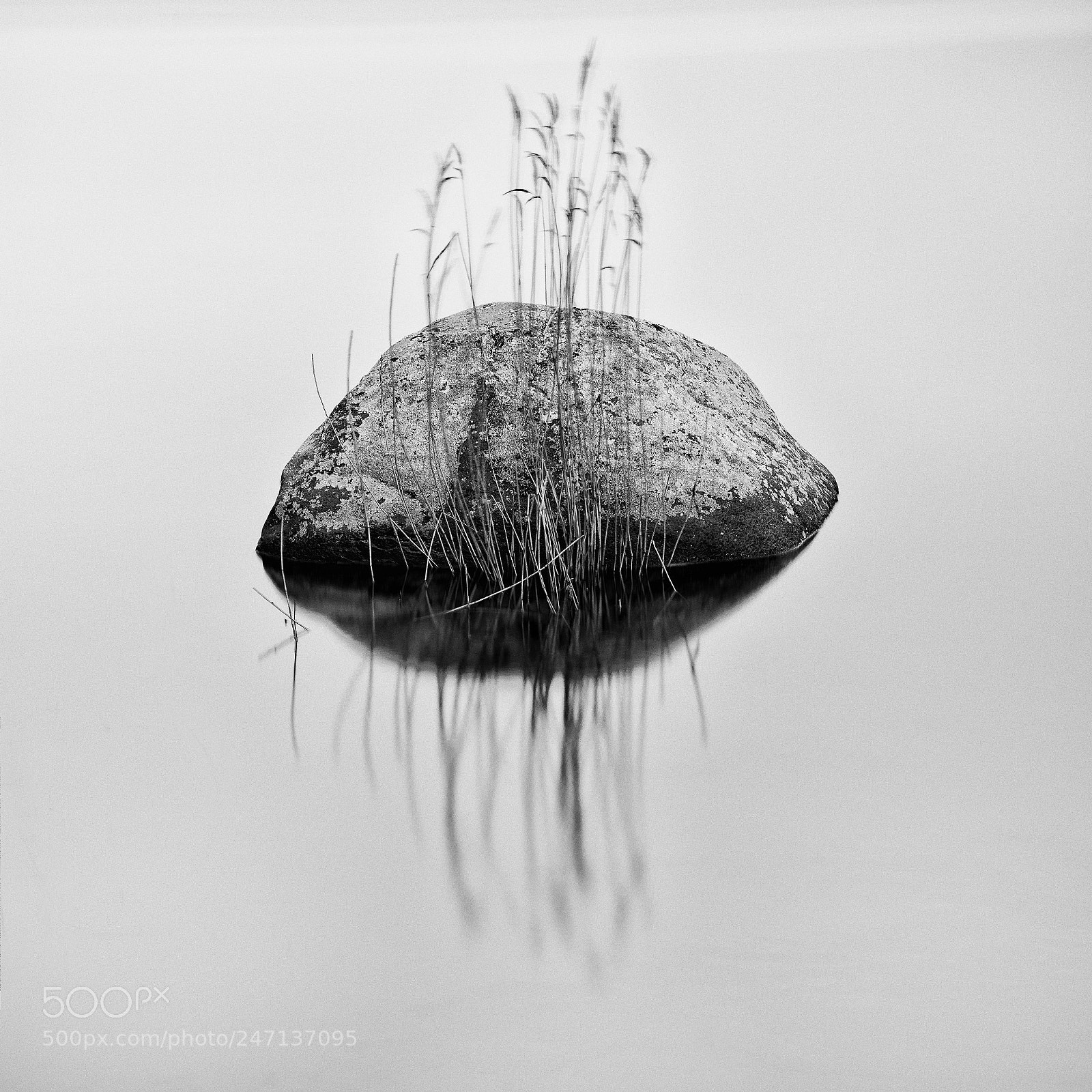 Nikon D810 sample photo. Lonely stone photography