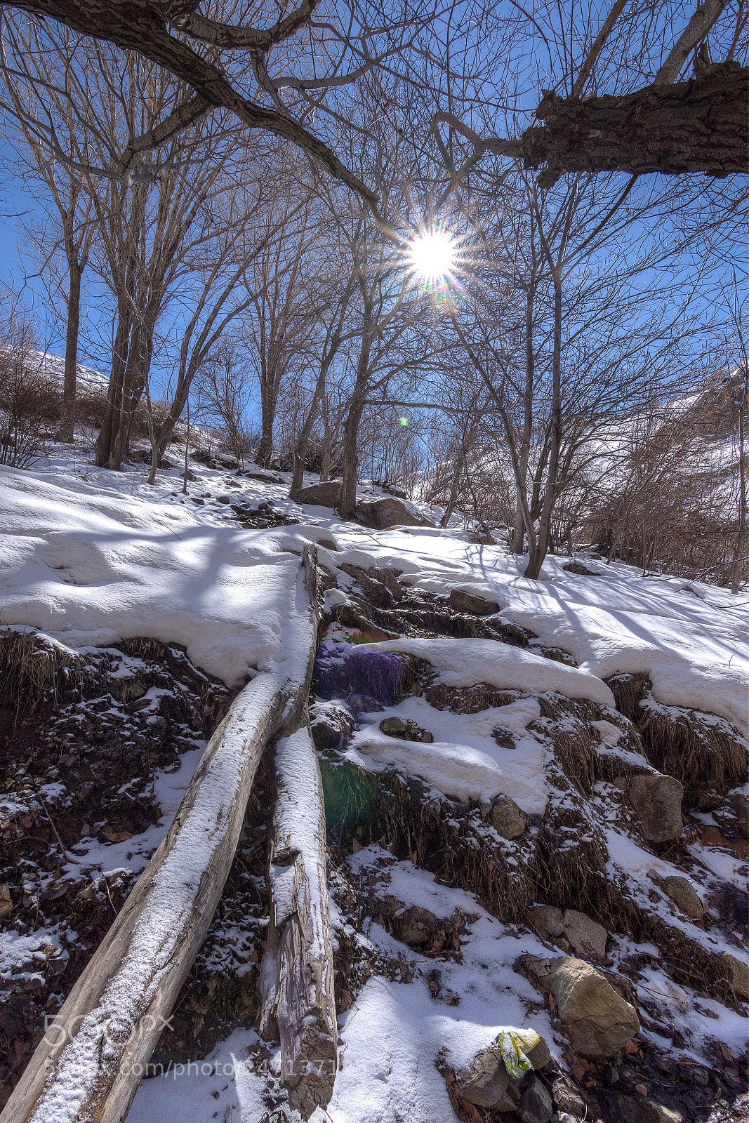 Nikon D7200 sample photo. Untitled photography