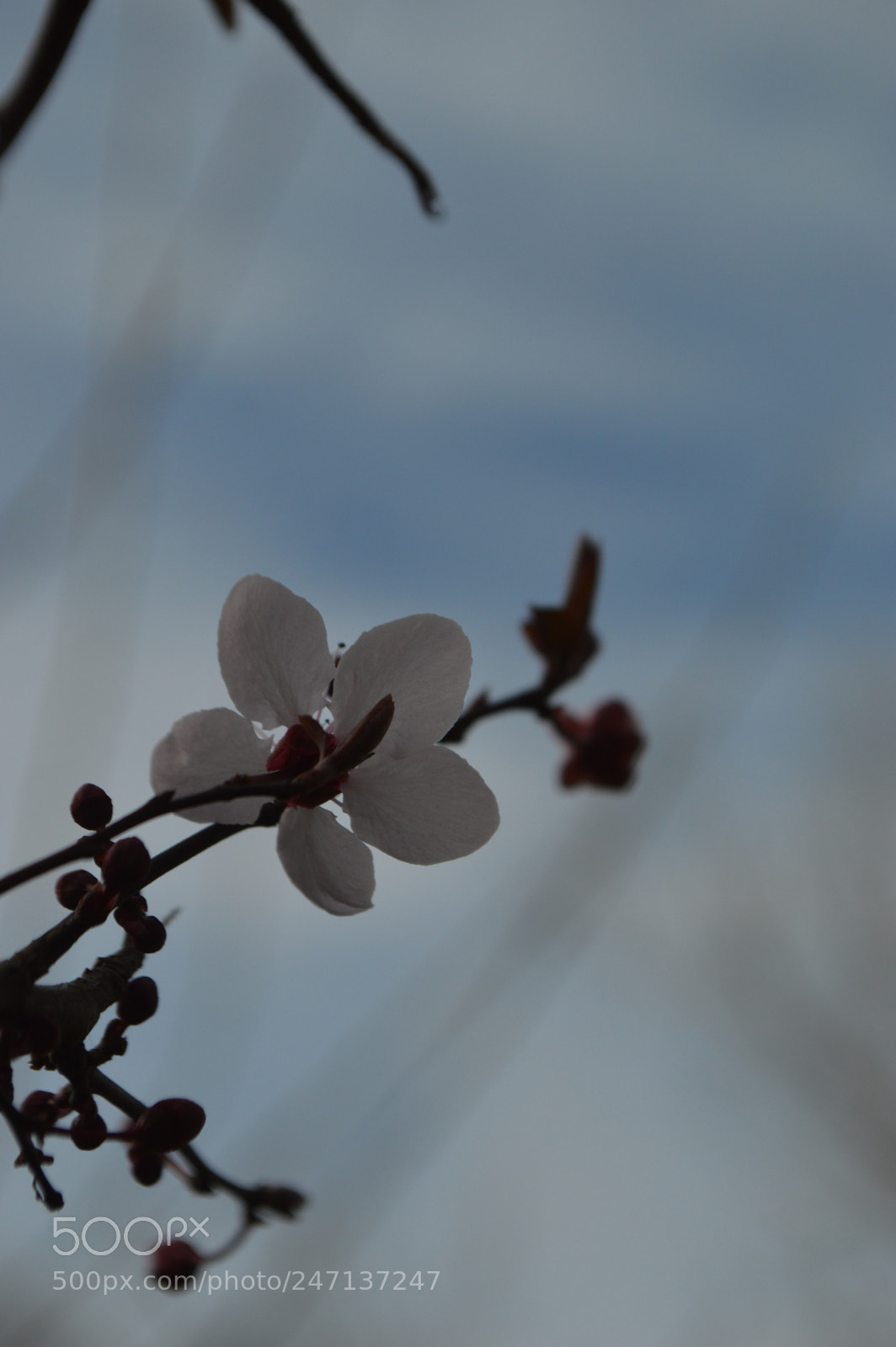 Nikon D3200 sample photo. Dsc photography
