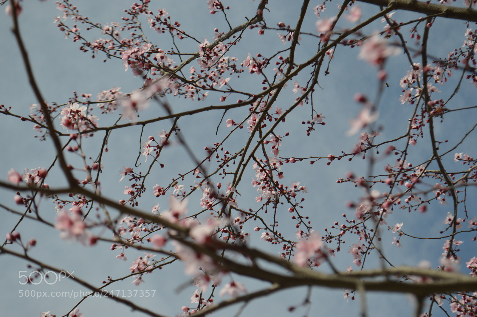 Nikon D3200 sample photo. Dsc photography