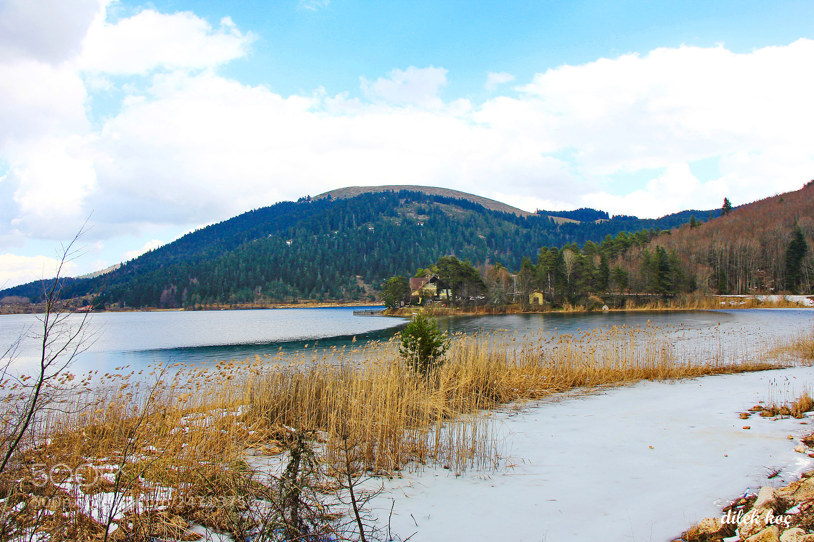 Canon EOS 60D sample photo. Untitled photography