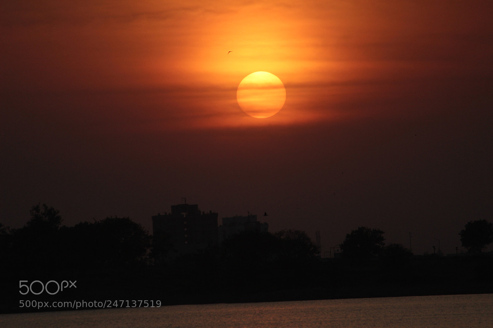 Canon EF-S 55-250mm F4-5.6 IS II sample photo. The sunset photography
