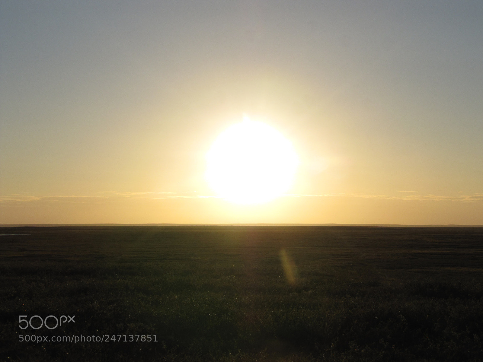 Canon PowerShot SX20 IS sample photo. Sun of tundra photography