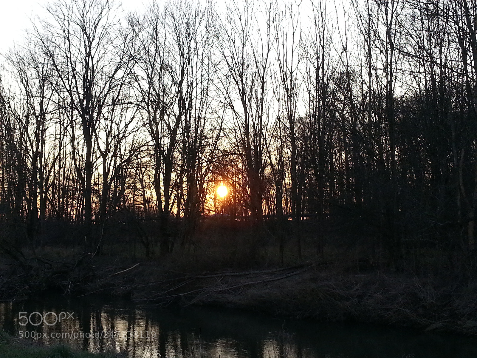 Samsung Galaxy Note2 sample photo. Shine through the woods photography
