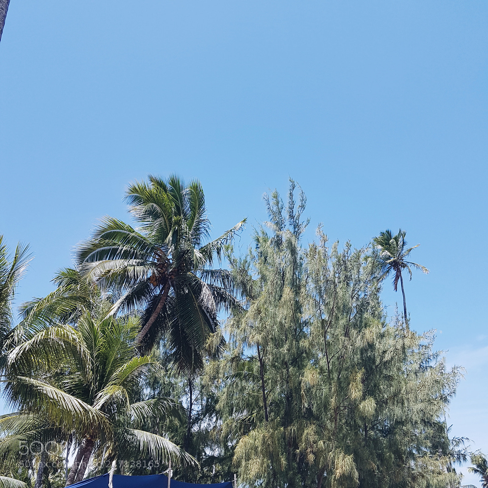 Samsung Galaxy S7 sample photo. Praia de peroba photography