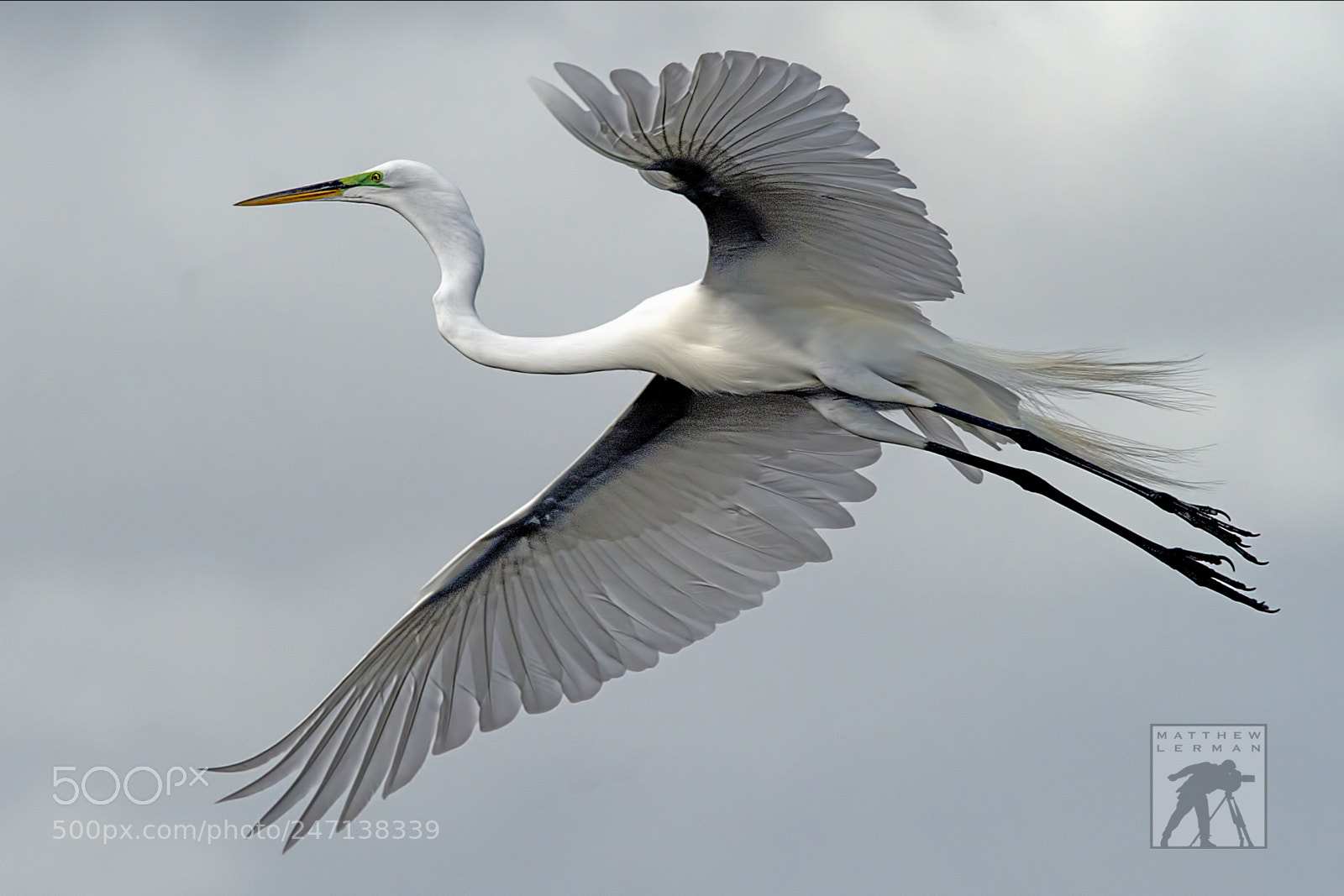 Nikon D810 sample photo. Flight photography