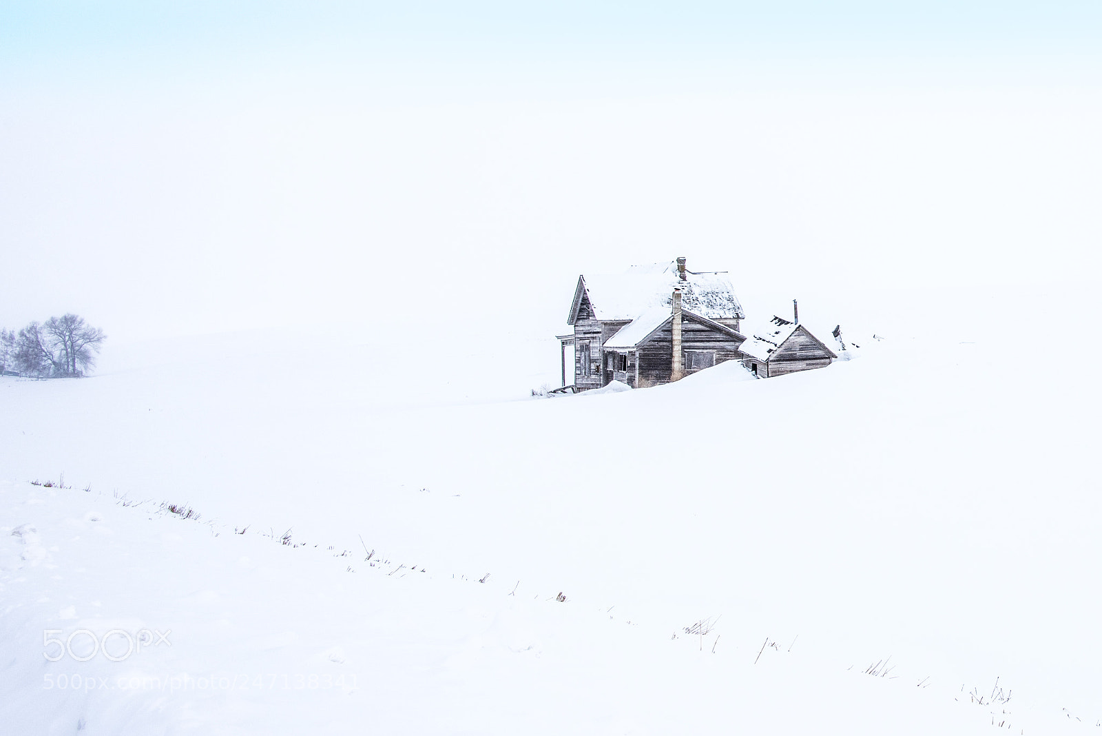 Nikon D810 sample photo. Cold and all alone photography