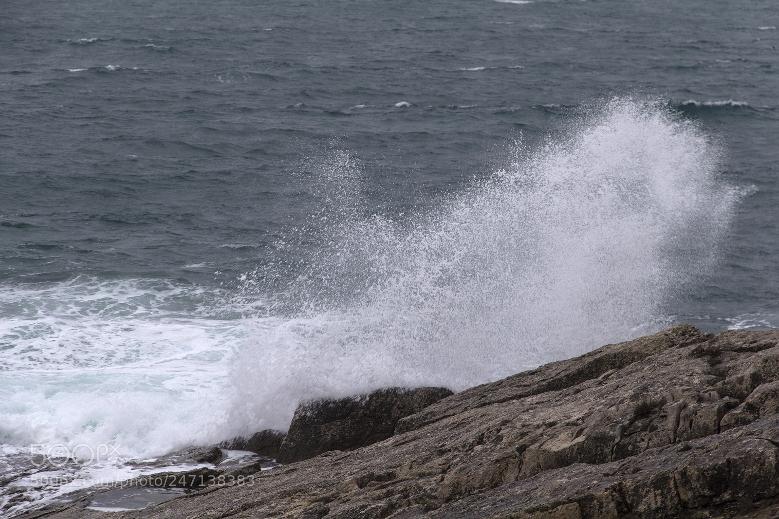 Canon EOS 600D (Rebel EOS T3i / EOS Kiss X5) sample photo. But a dream within photography