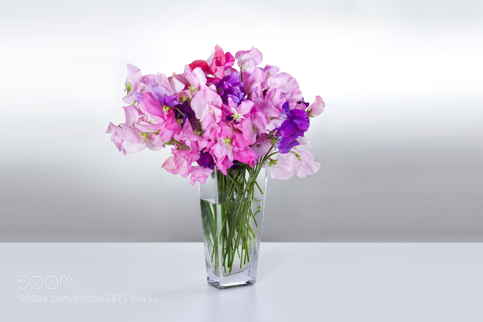 Canon EOS 40D sample photo. Flowers peas in vase photography