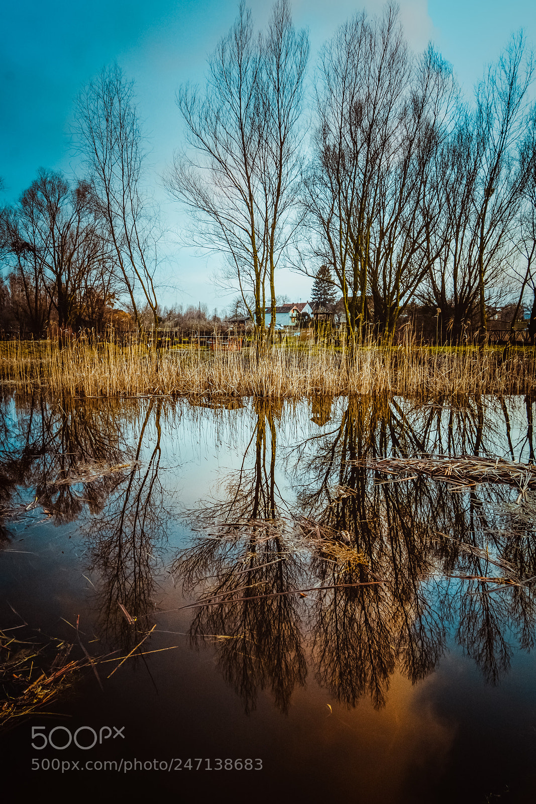Nikon D7100 sample photo. Reflection photography