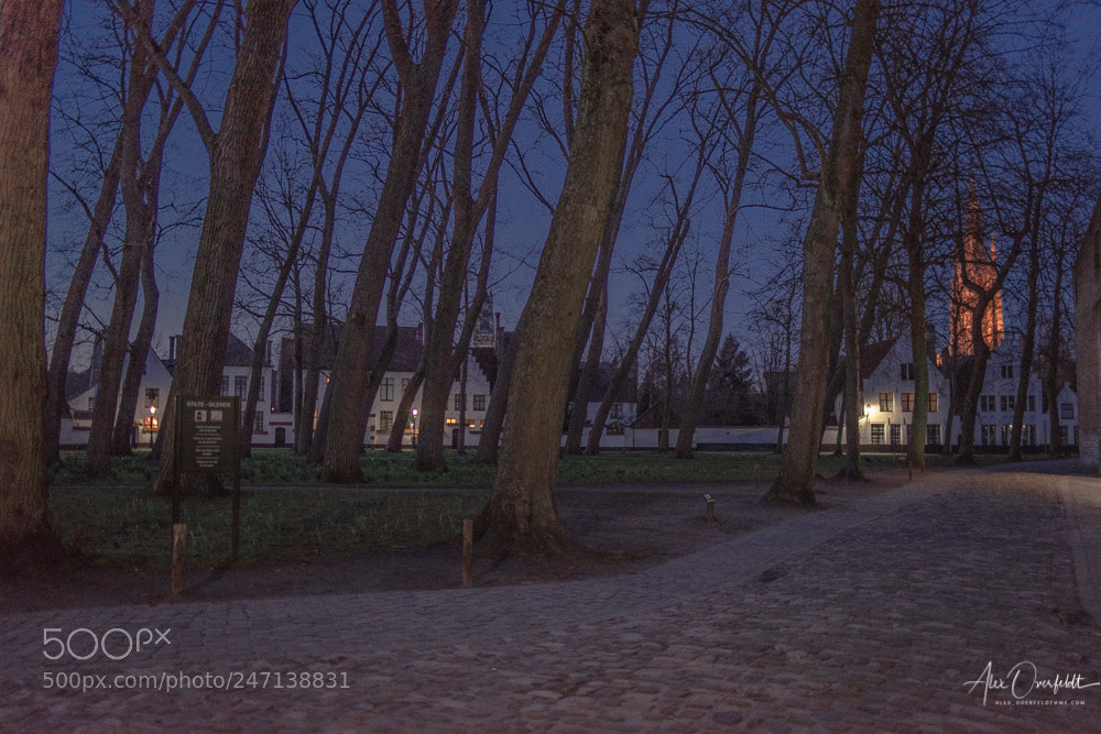 Pentax K-1 sample photo. Bruges begijnhof at sunset photography