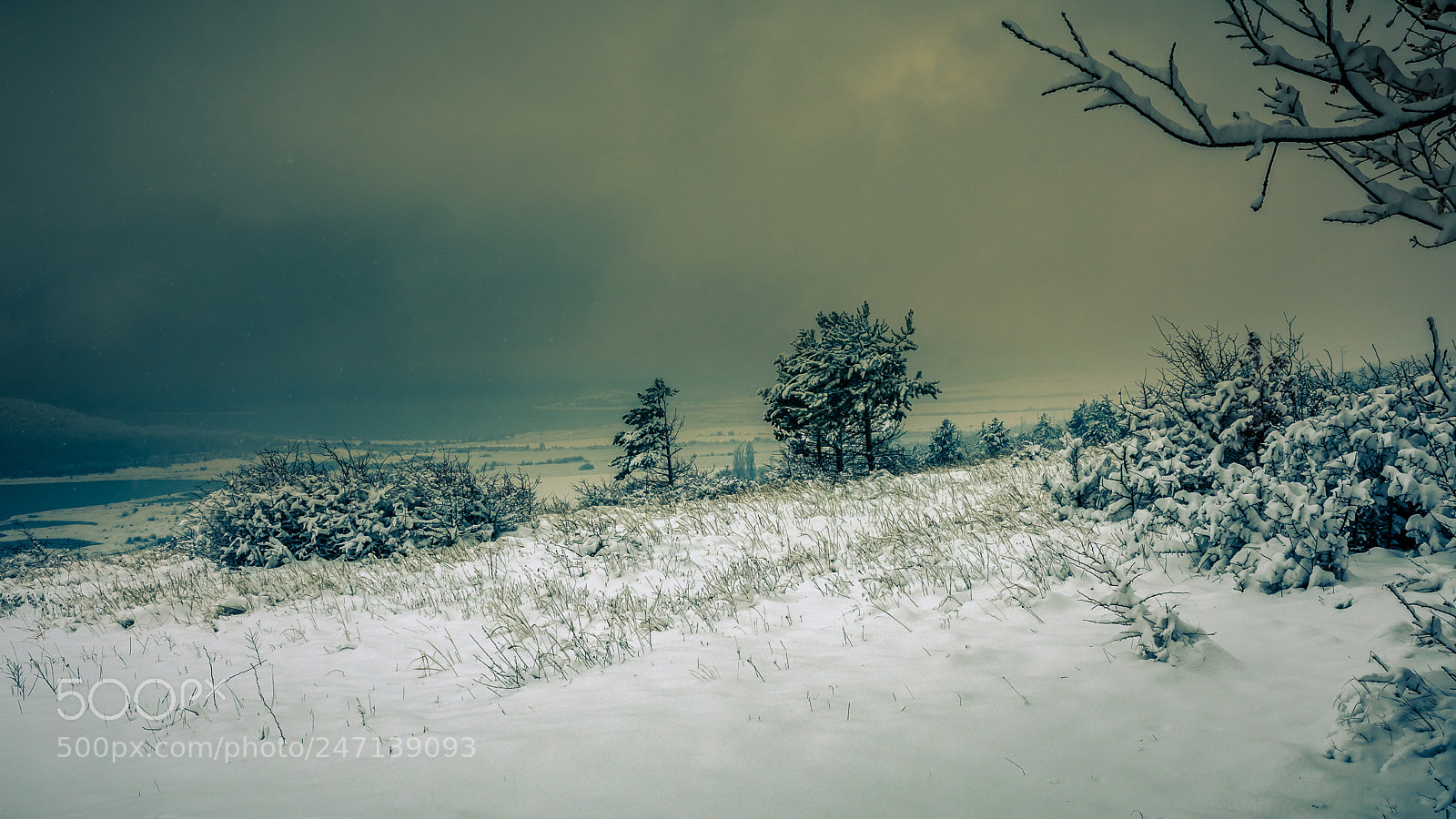 Nikon D7200 sample photo. Winter photography