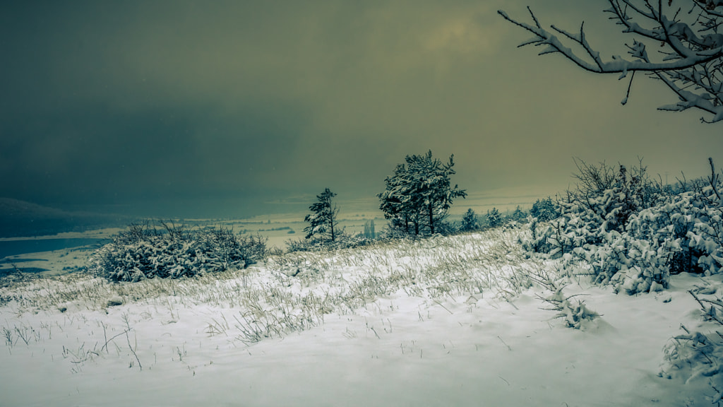 Winter by Milen Mladenov on 500px.com