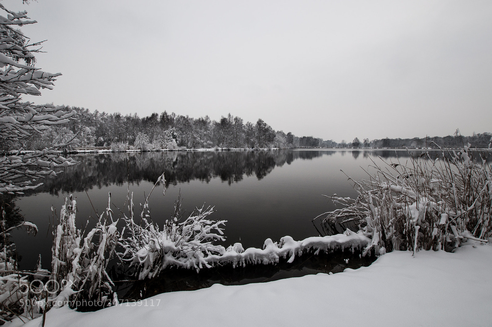 Nikon D5000 sample photo. Black lake photography