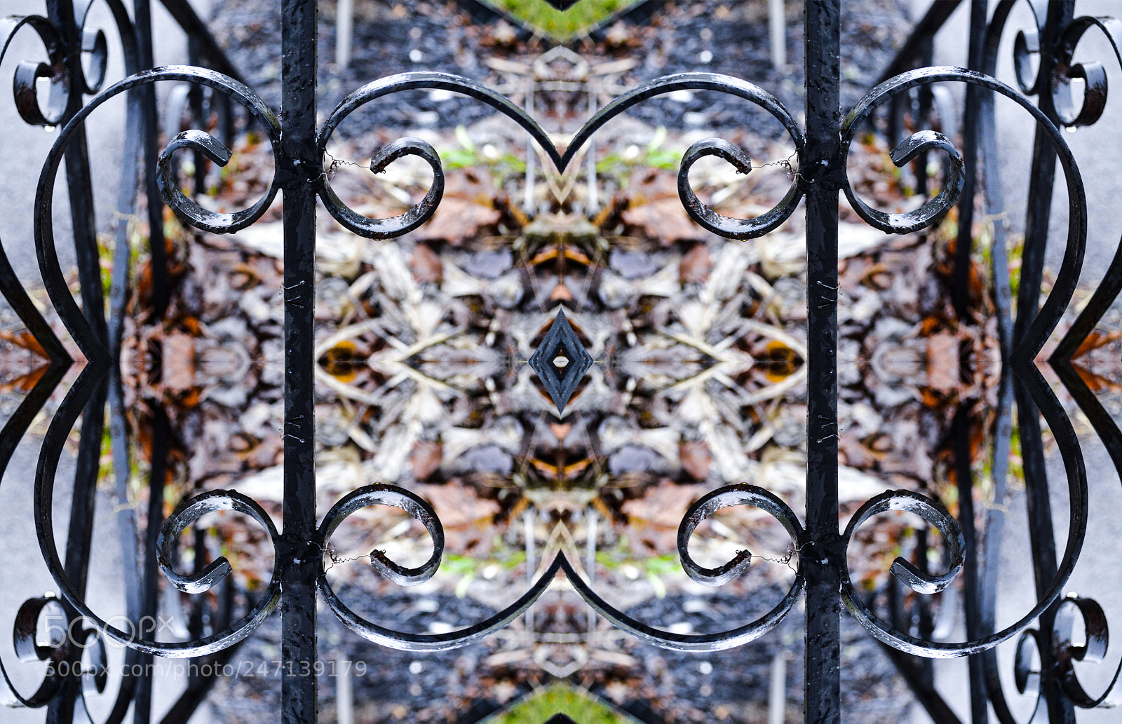 Nikon D3100 sample photo. Kaleidoscopic image photography