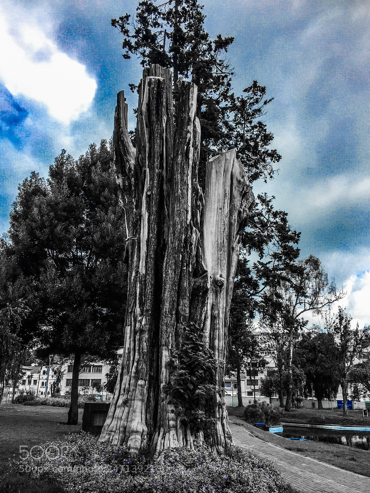 Apple iPhone 6 sample photo. Untitled photography