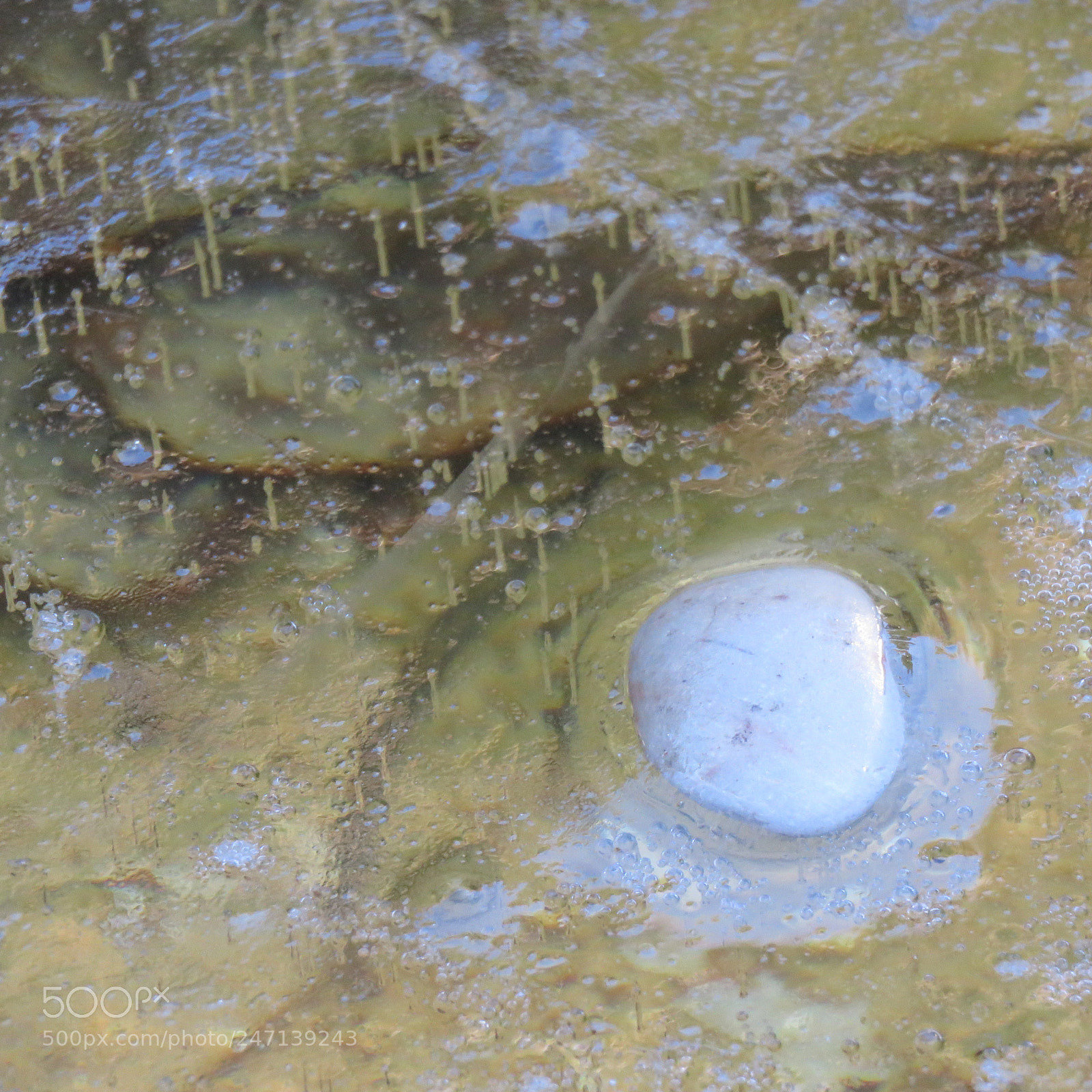 Canon PowerShot SX60 HS sample photo. A water story photography