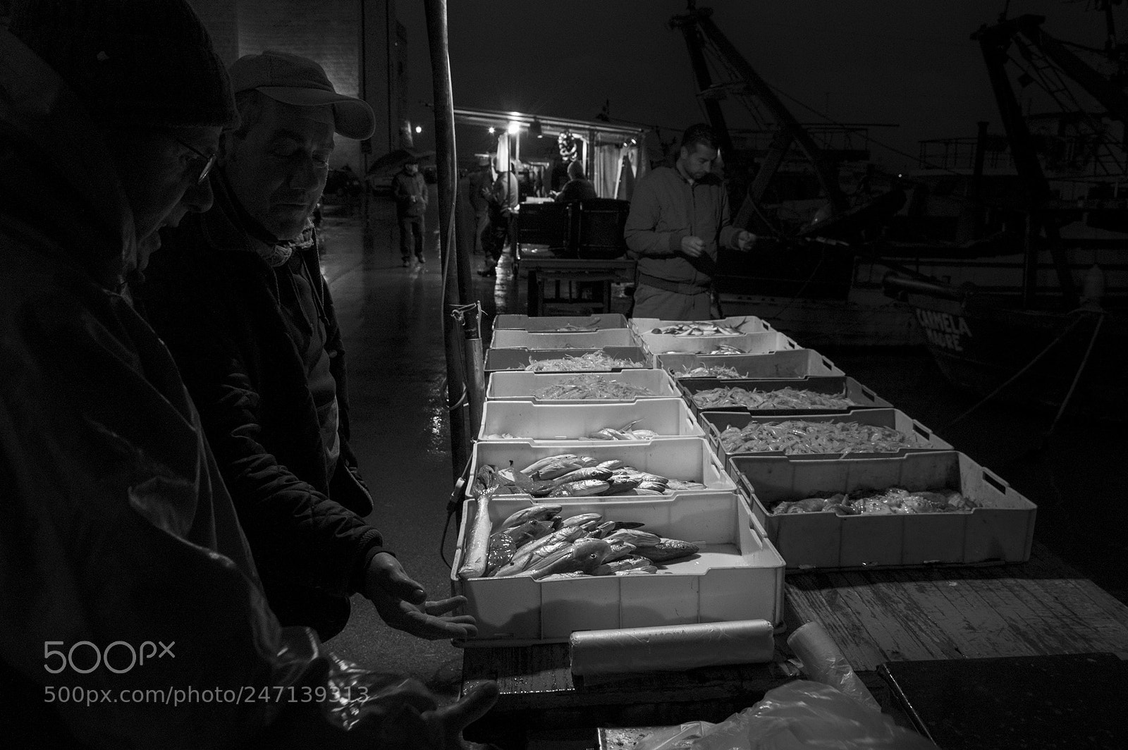 Nikon D3200 sample photo. Porto di trani photography