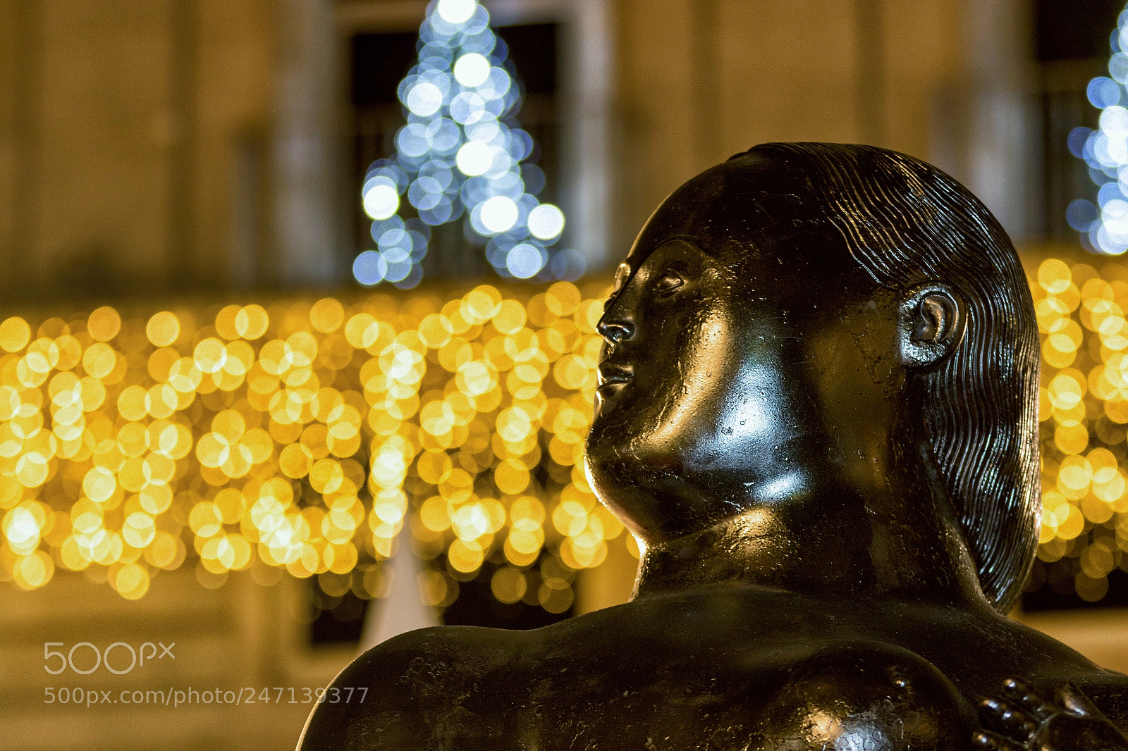 Canon EOS 7D Mark II sample photo. Botero photography