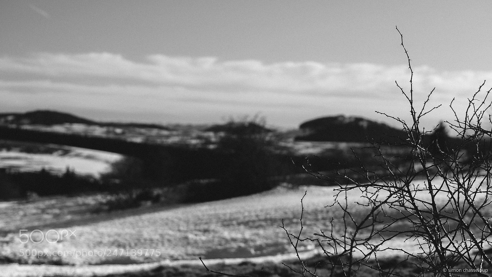 Olympus OM-D E-M10 II sample photo. Sunny winter on the photography