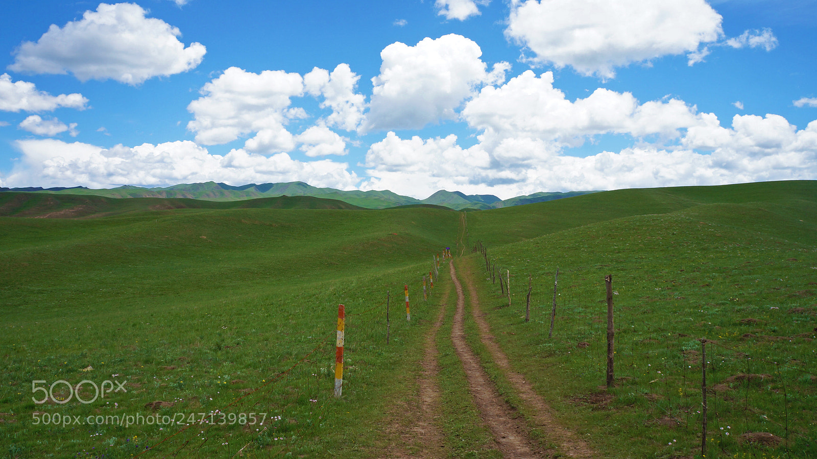 Sony Alpha NEX-F3 sample photo. Sangke grassland photography