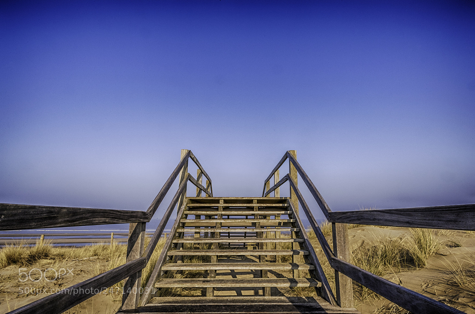 Canon EOS-1Ds Mark II sample photo. The bridge to the photography