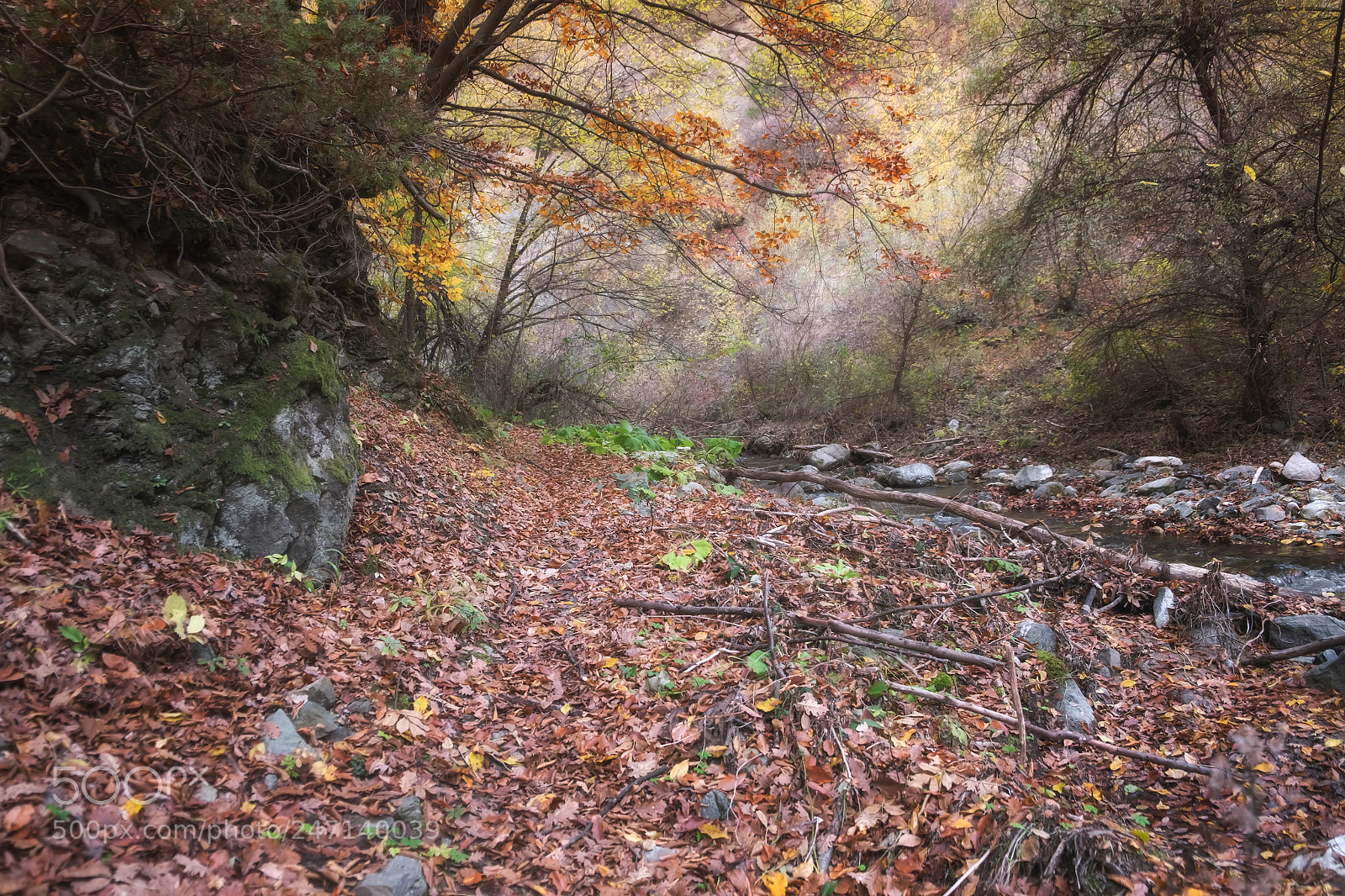 Fujifilm X-T1 sample photo. Memories for the autumn... photography