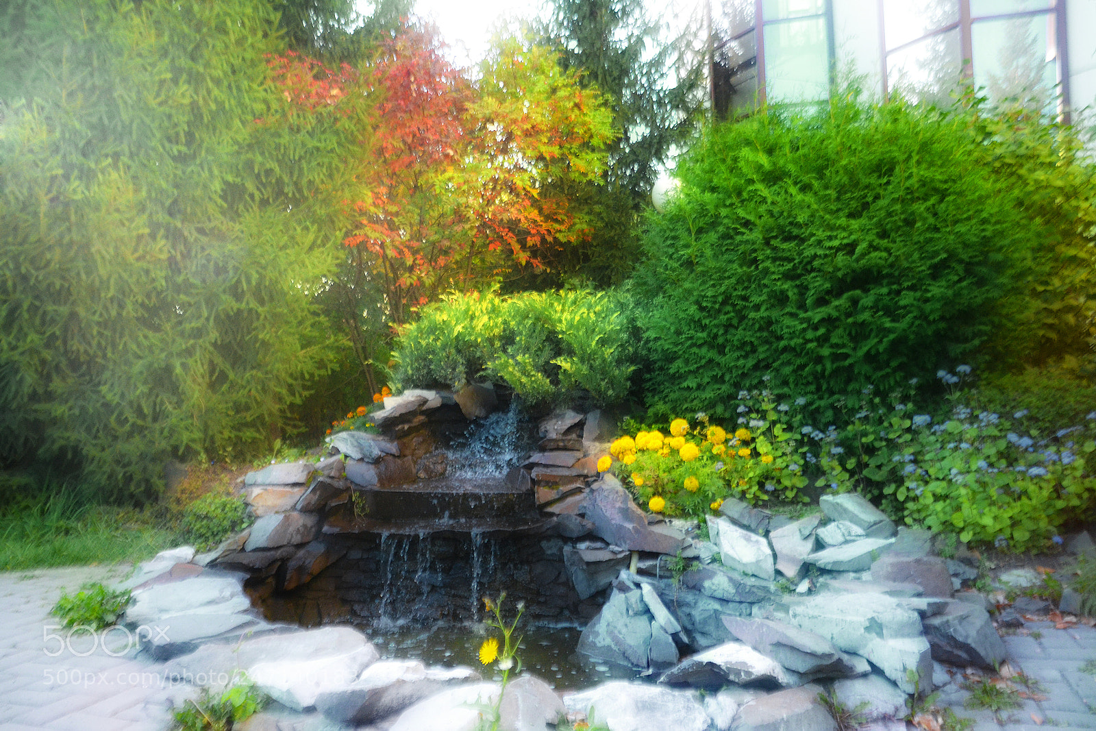 Nikon D3100 sample photo. Garden photography