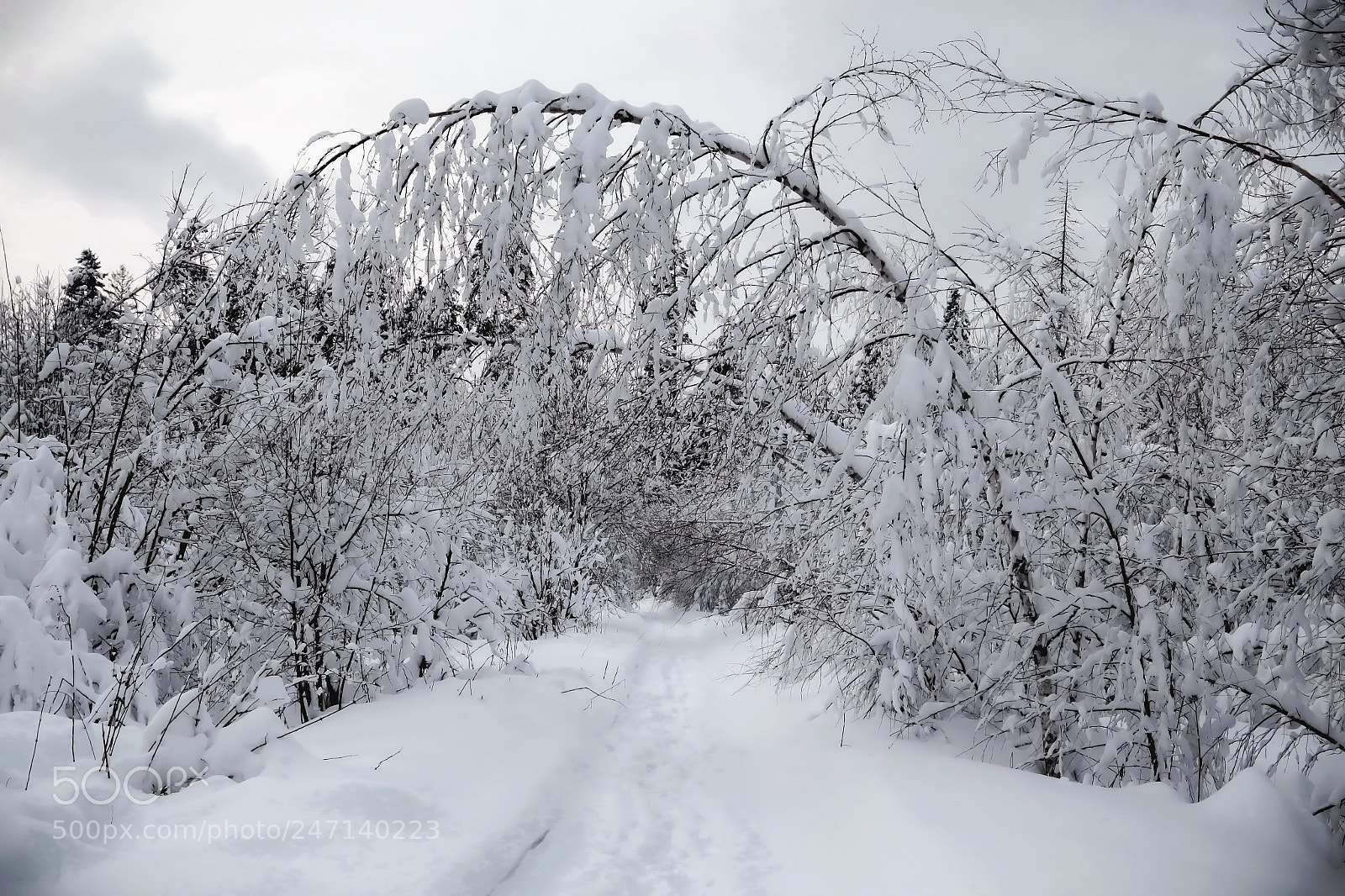 Canon EOS 650D (EOS Rebel T4i / EOS Kiss X6i) sample photo. Blue snow photography