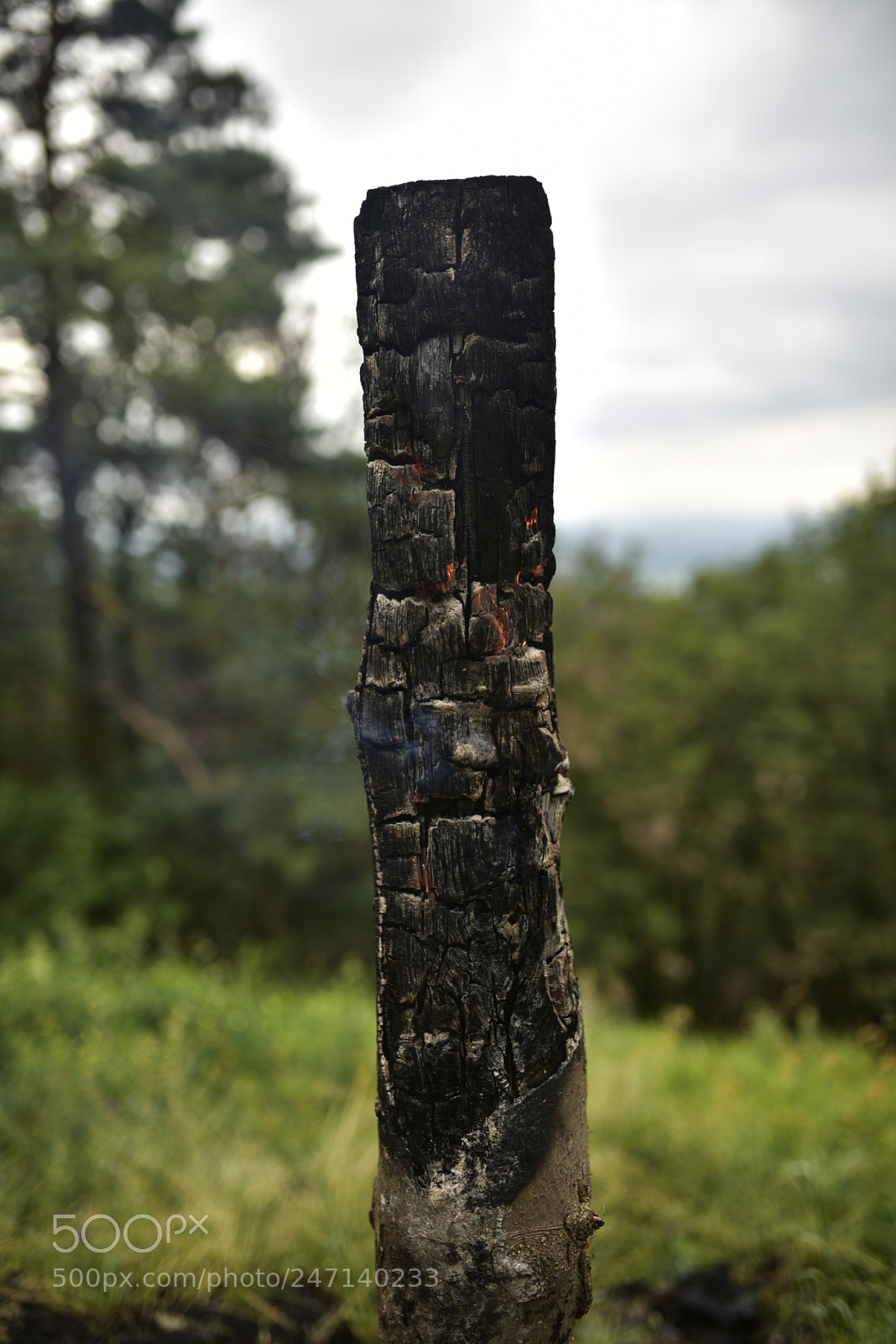 Nikon D750 + Sigma 35mm F1.4 DG HSM Art sample photo. Dsc photography