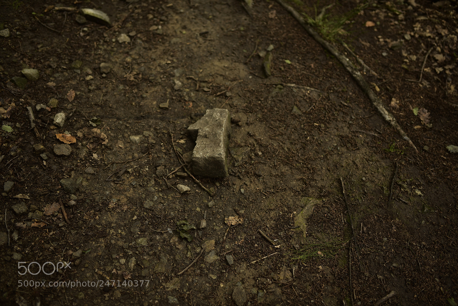 Sigma 35mm F1.4 DG HSM Art sample photo. Dsc photography