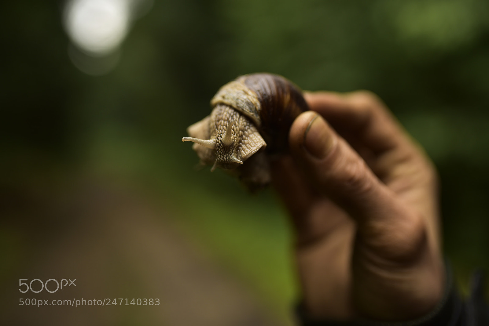 Nikon D750 + Sigma 35mm F1.4 DG HSM Art sample photo. Dsc photography