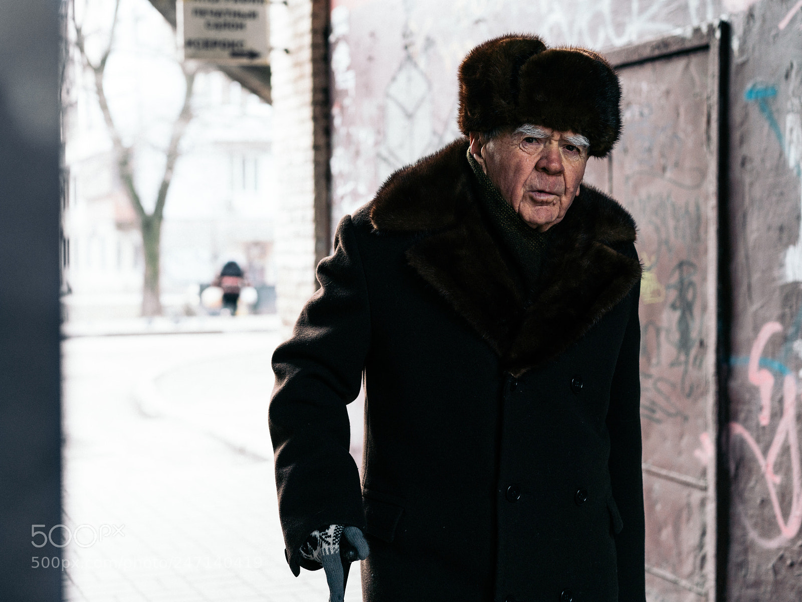 Sony a7R II sample photo. 284/365 photography