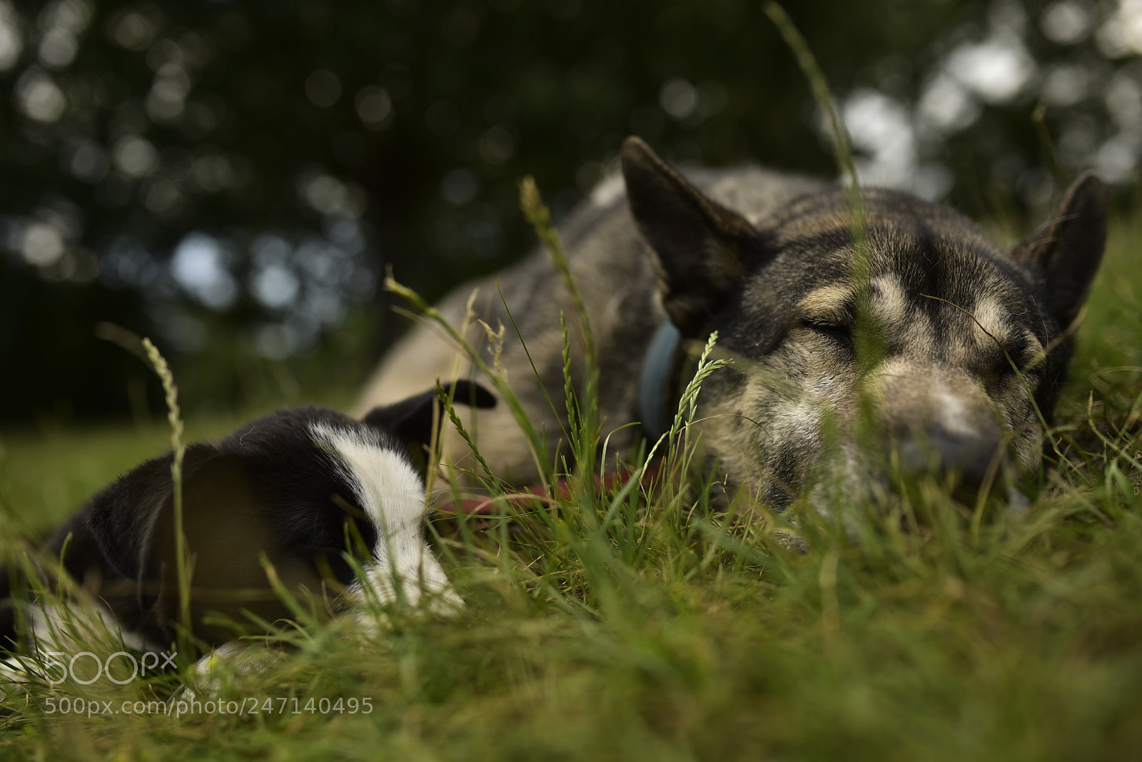 Sigma 35mm F1.4 DG HSM Art sample photo. Dsc photography