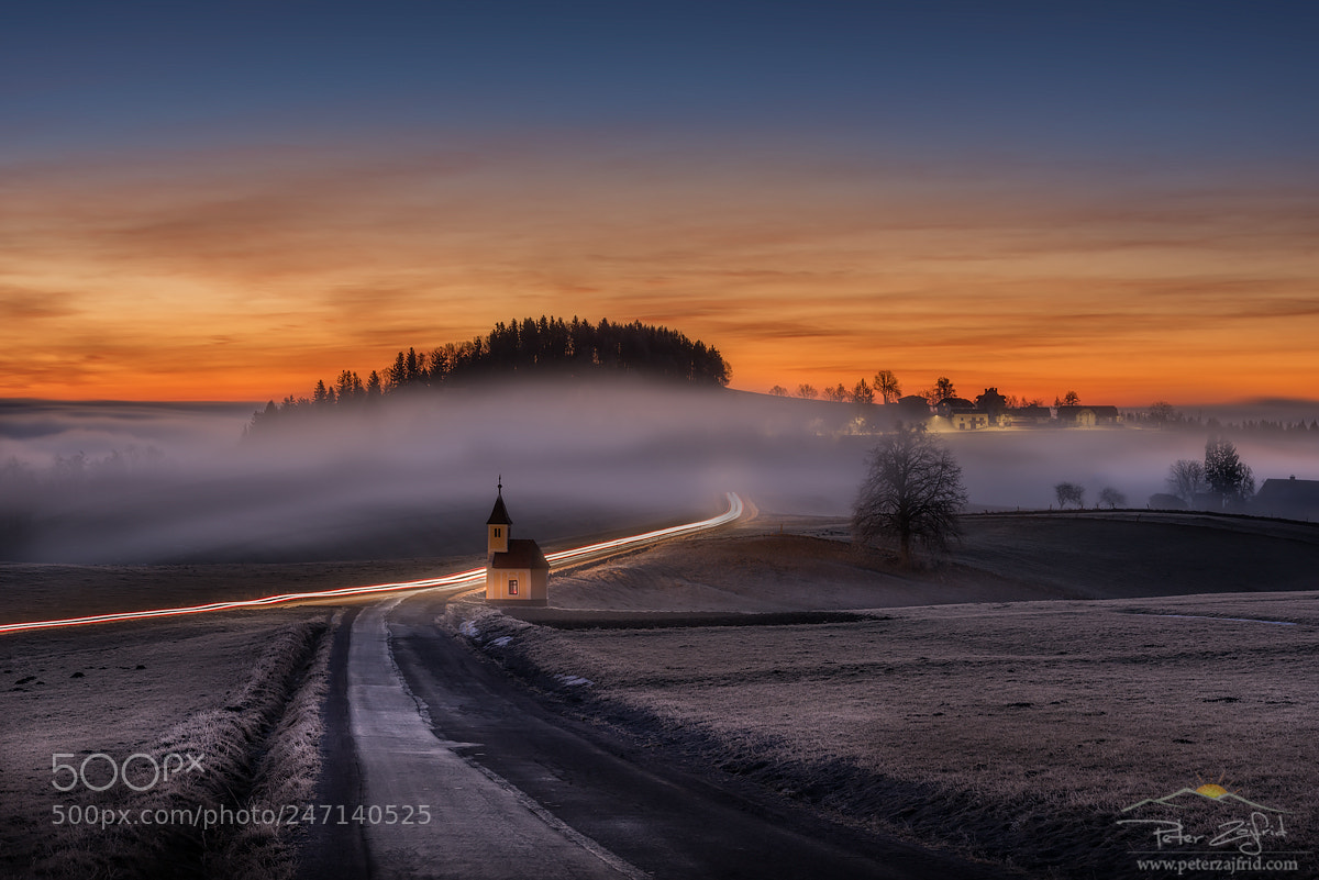 Nikon D810 sample photo. Morning drive photography