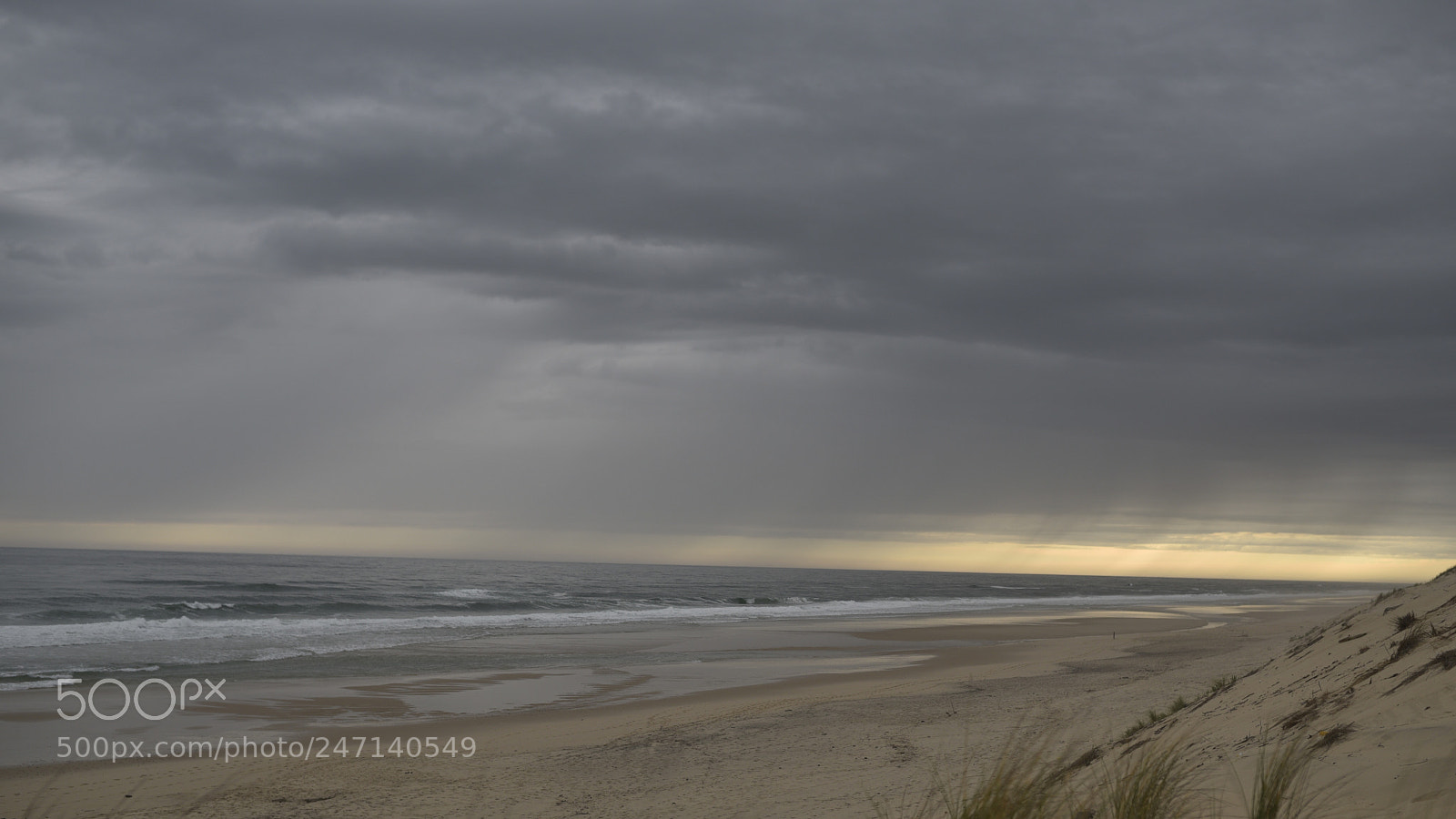 Nikon D750 + Sigma 35mm F1.4 DG HSM Art sample photo. Dsc photography