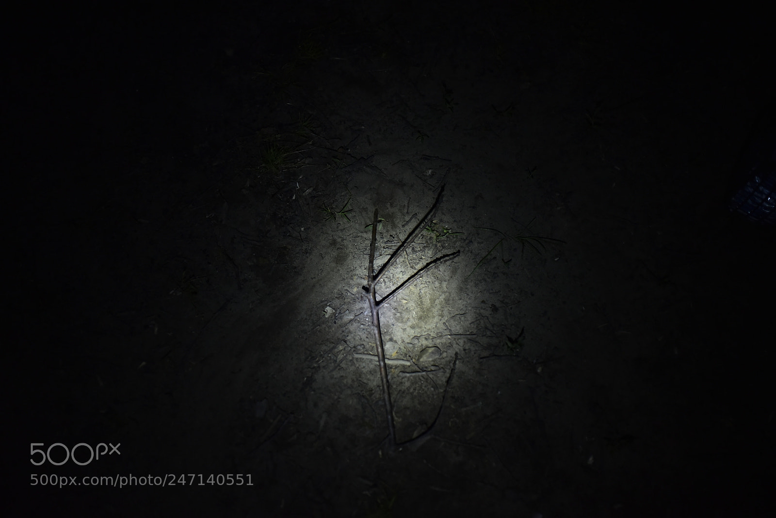Nikon D750 + Sigma 35mm F1.4 DG HSM Art sample photo. Dsc photography
