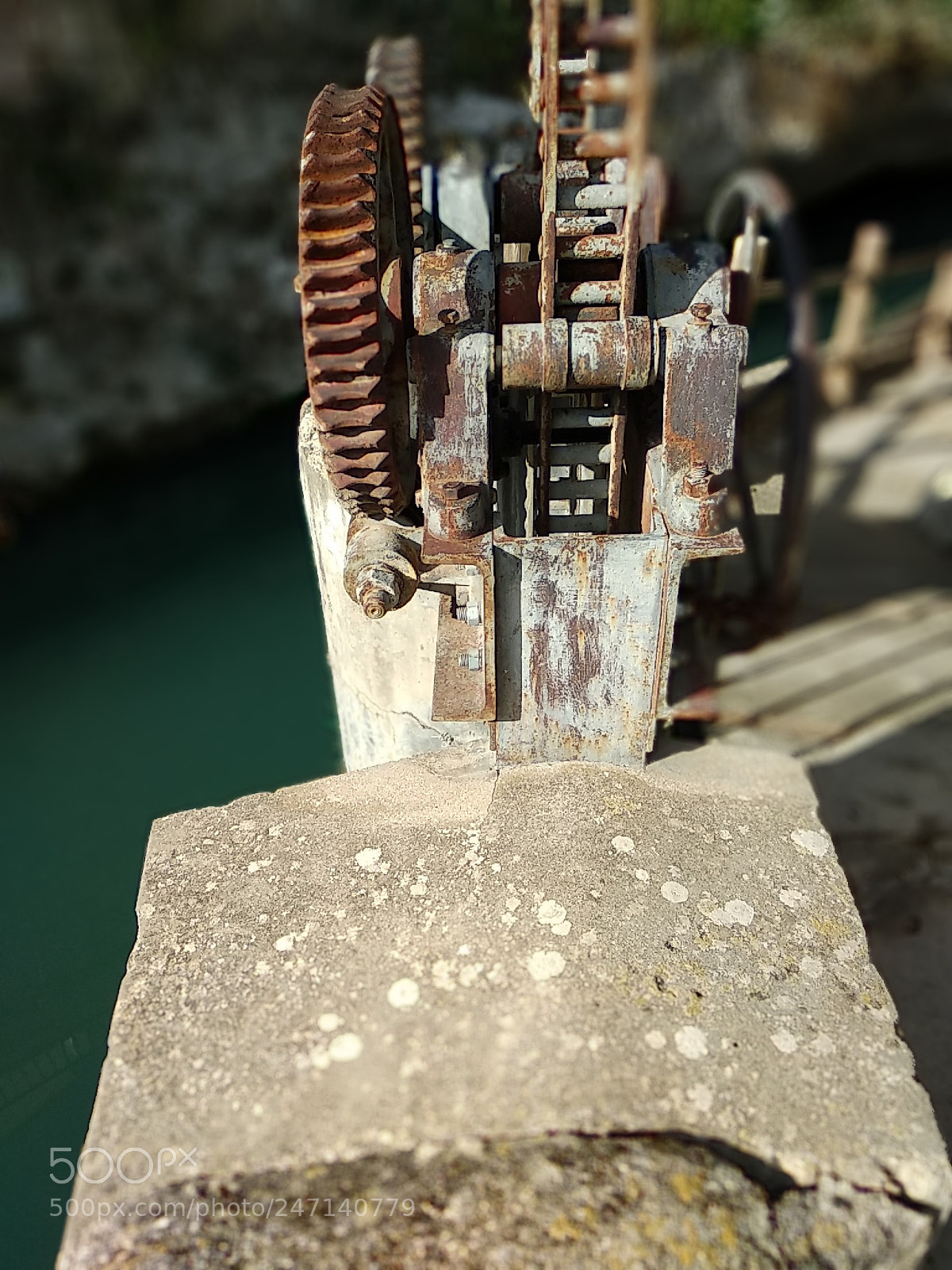 Xiaomi Mi A1 sample photo. Untitled photography