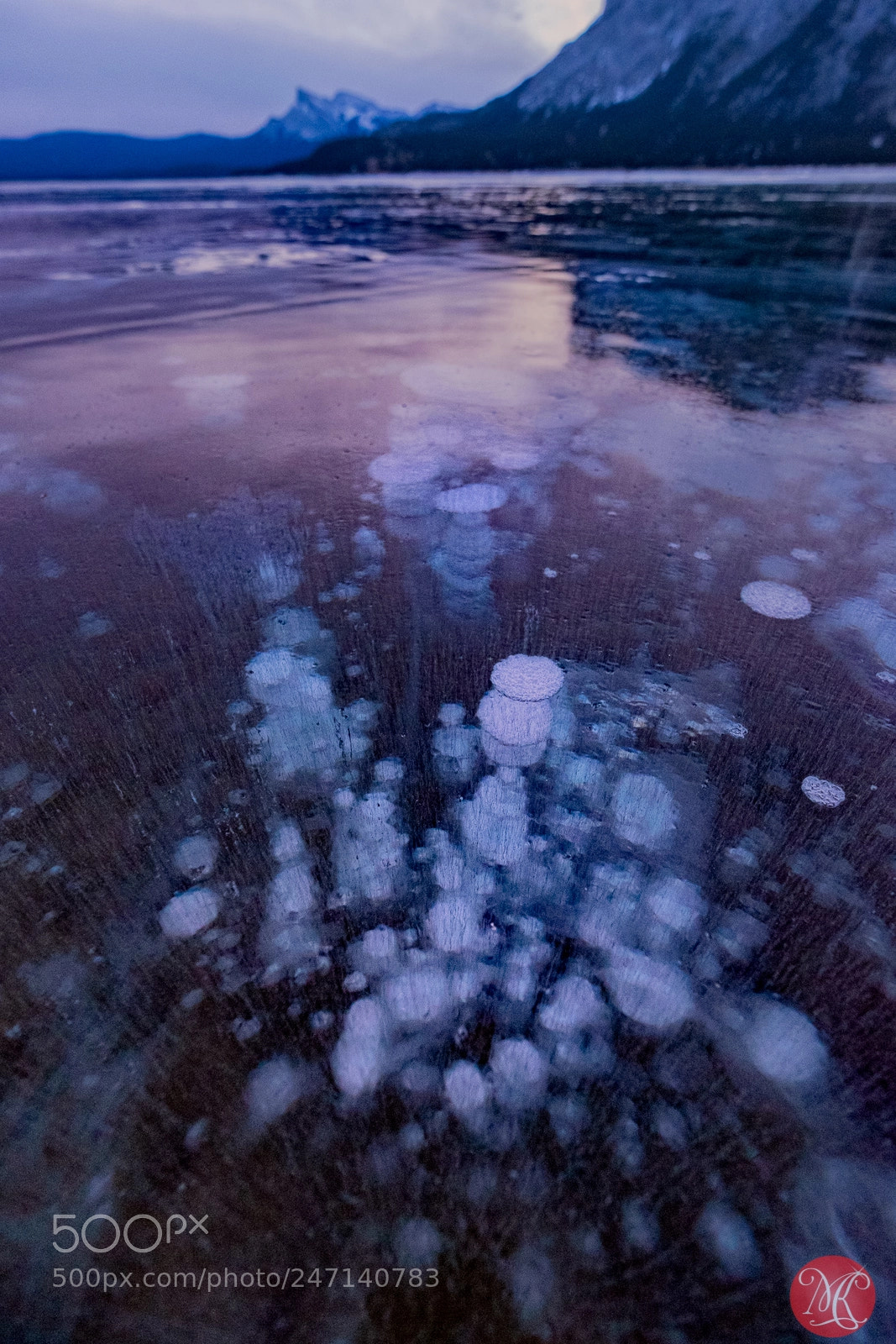 Fujifilm X-T1 sample photo. Bubbles everywhere photography