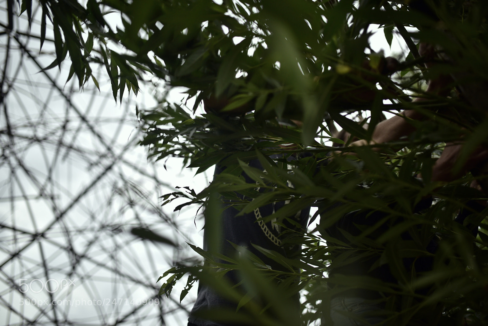 Nikon D750 + Sigma 35mm F1.4 DG HSM Art sample photo. Dsc photography