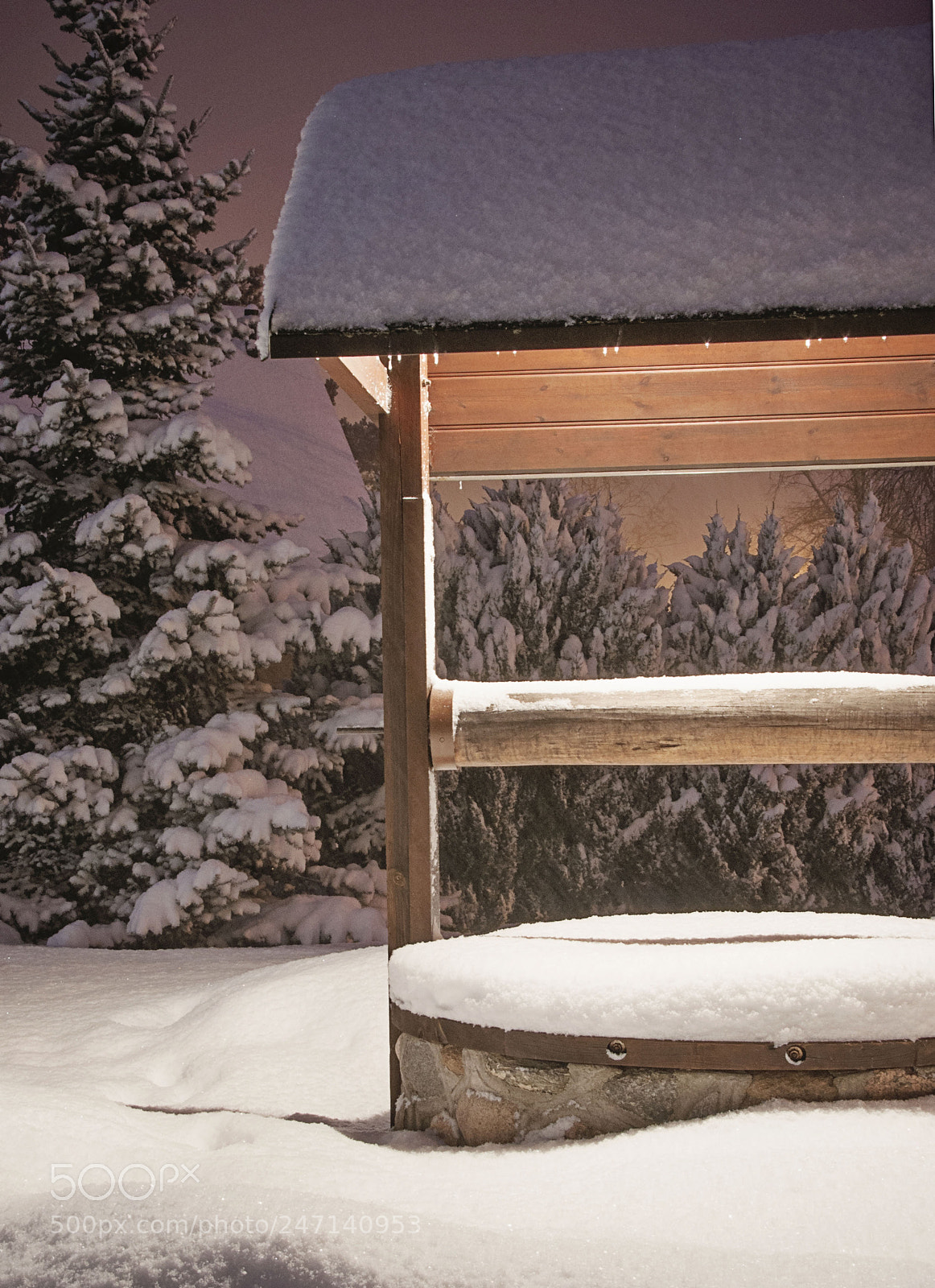Nikon D90 sample photo. When backyard turns into photography